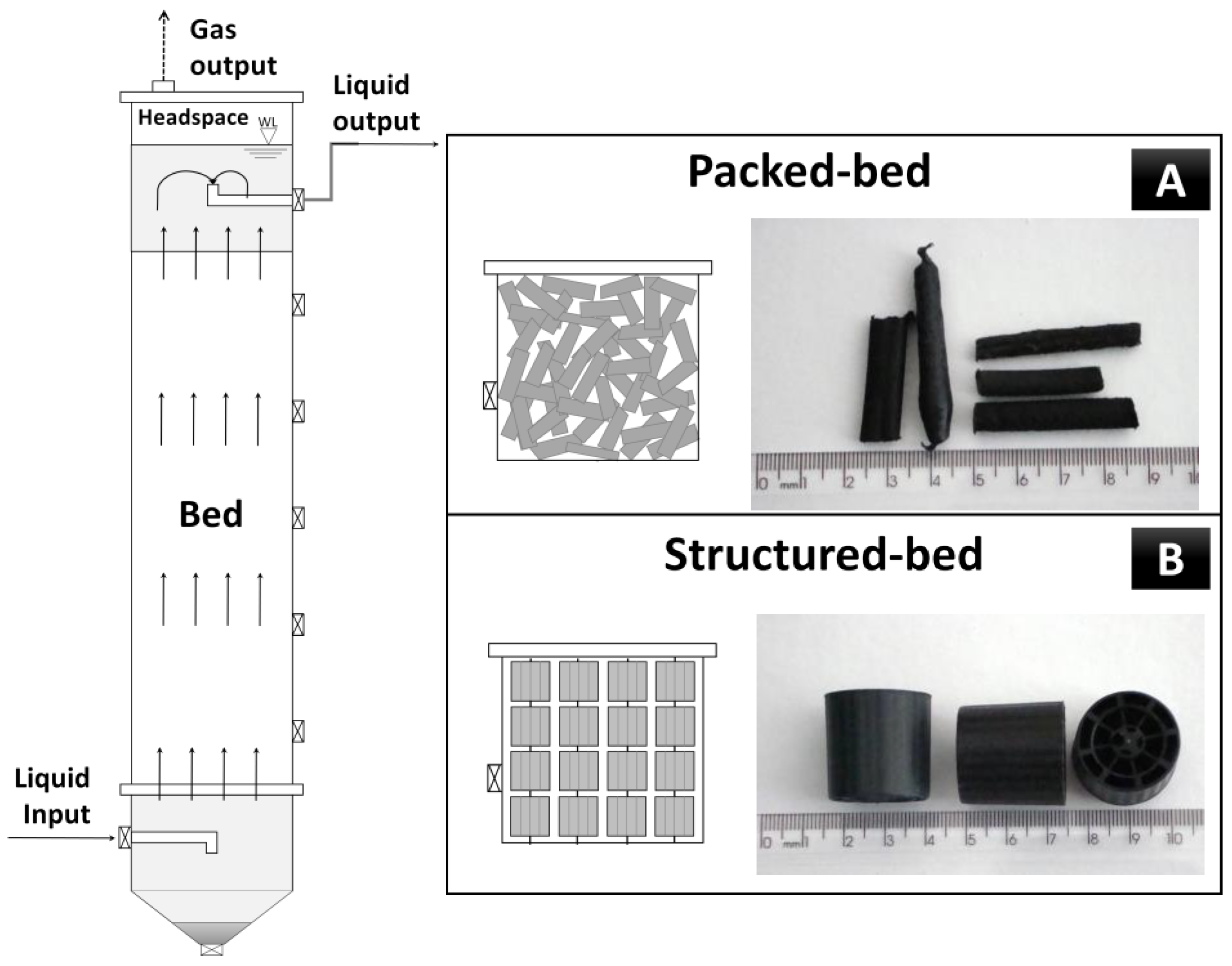 Fermentation 10 00213 g001