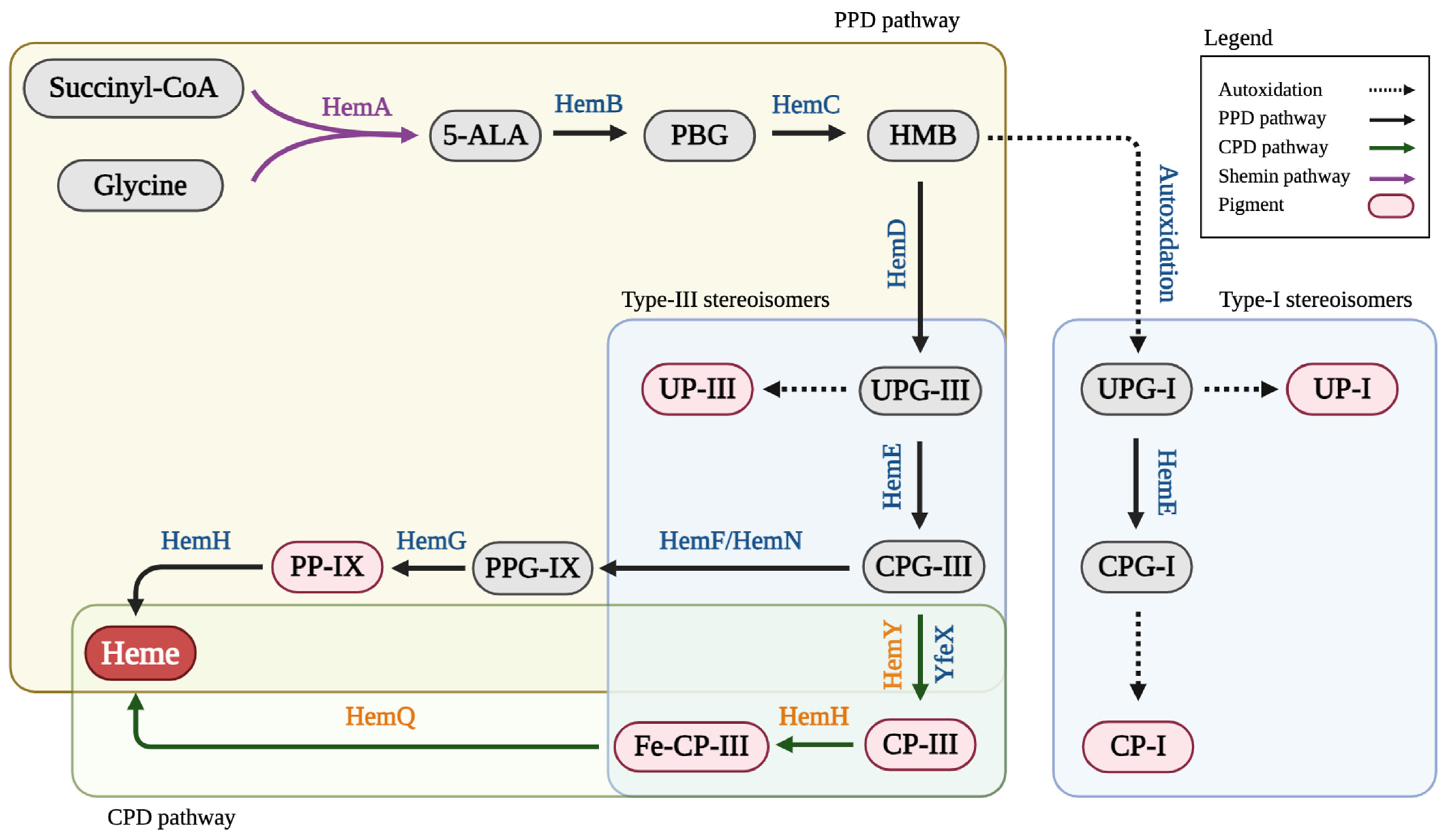 Fermentation 10 00250 g001