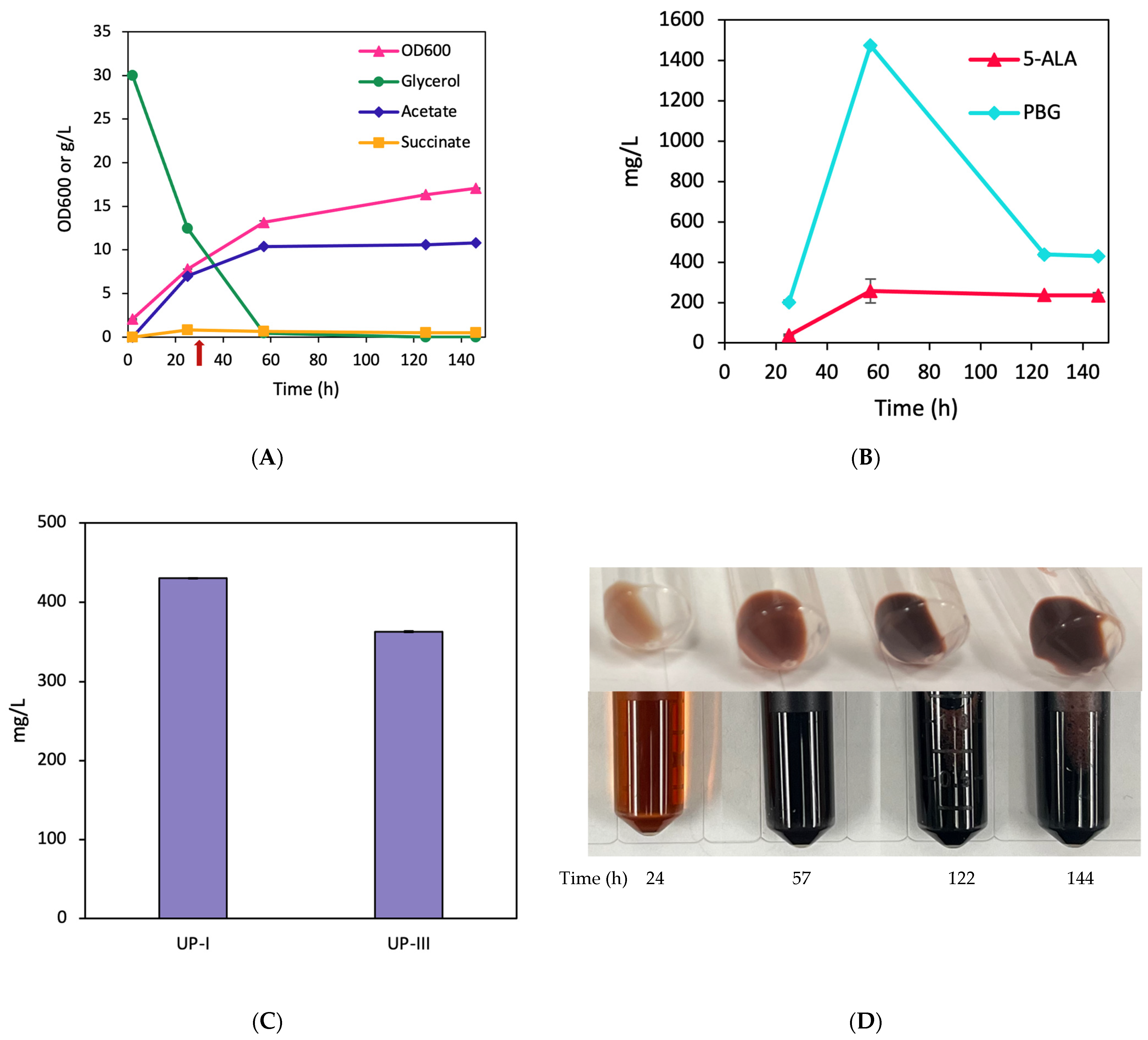 Fermentation 10 00250 g002