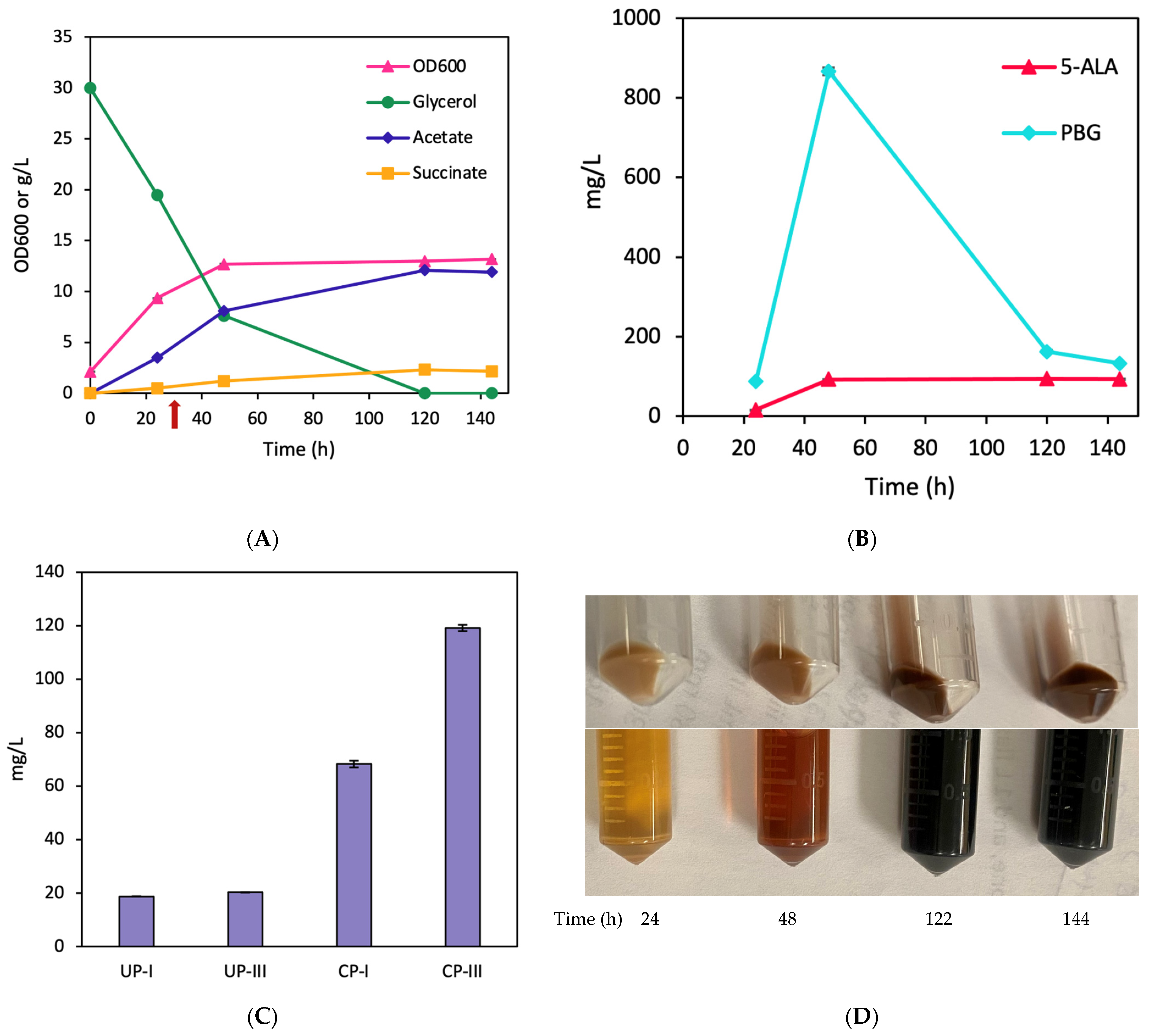 Fermentation 10 00250 g004