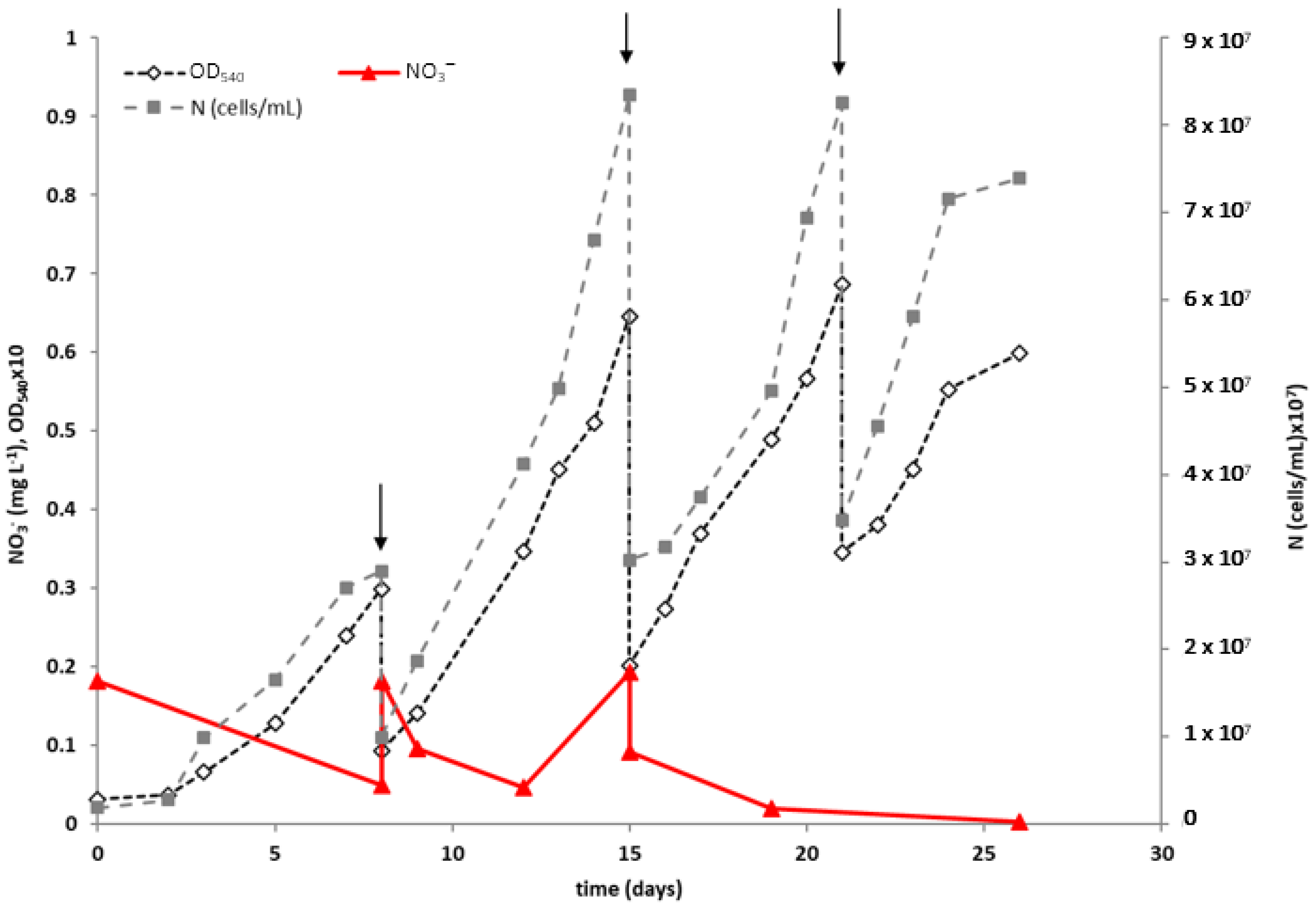 Fermentation 10 00270 g002