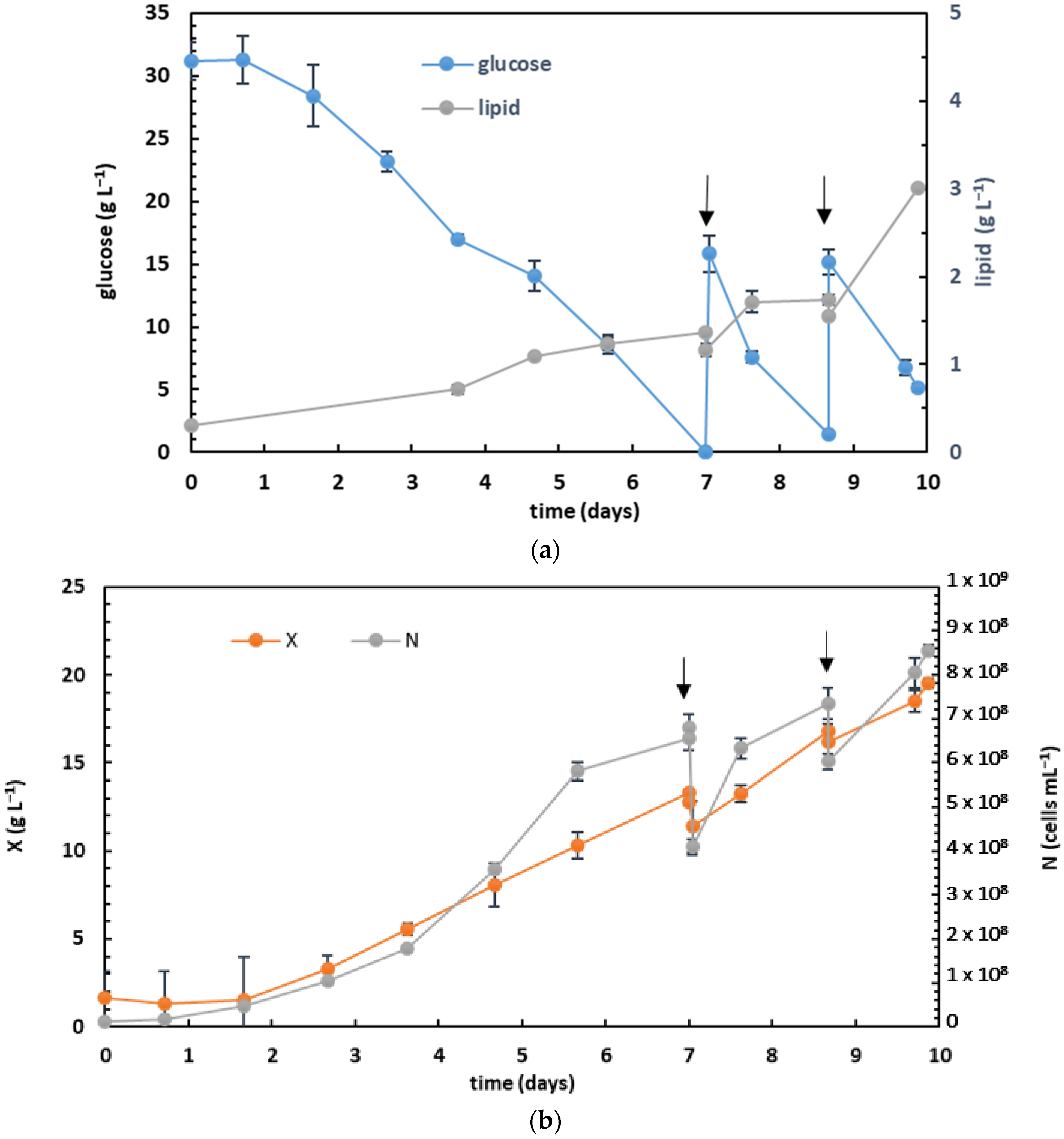 Fermentation 10 00270 g007