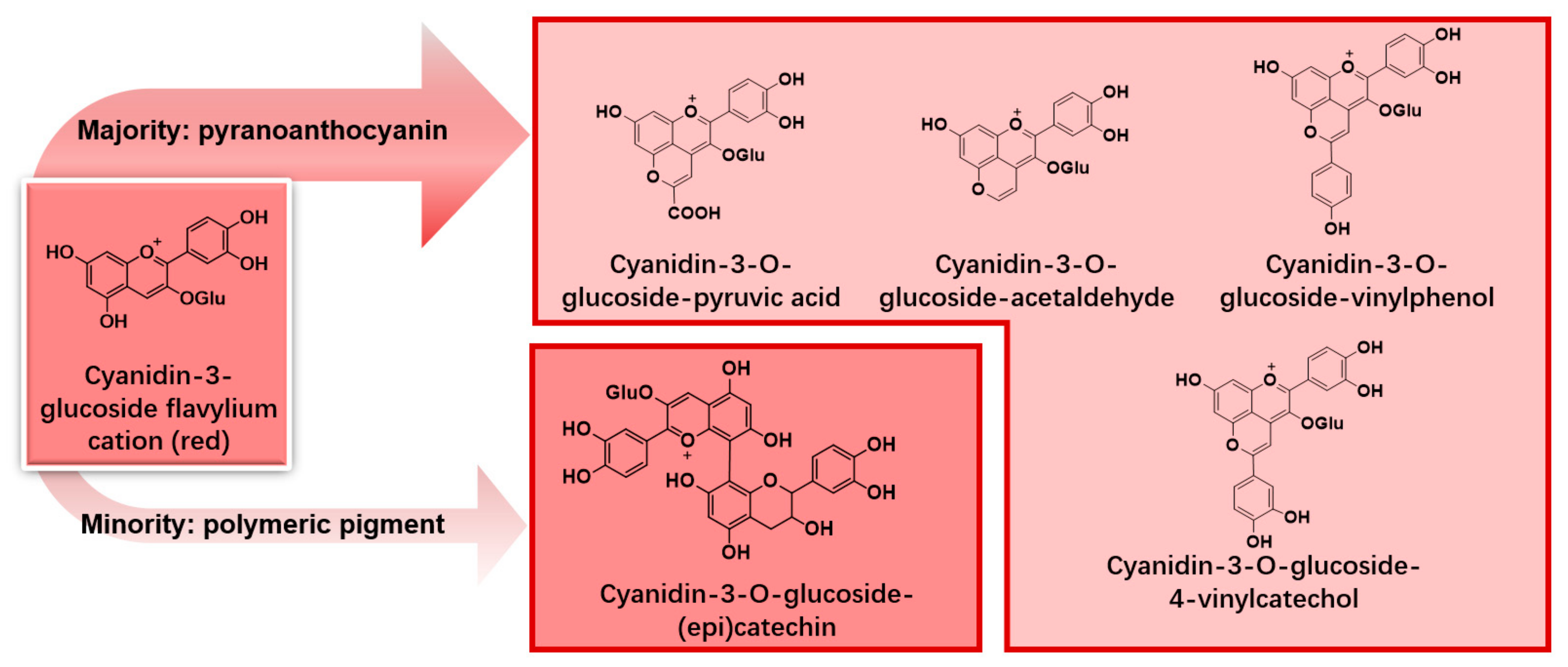 Fermentation 10 00271 g004