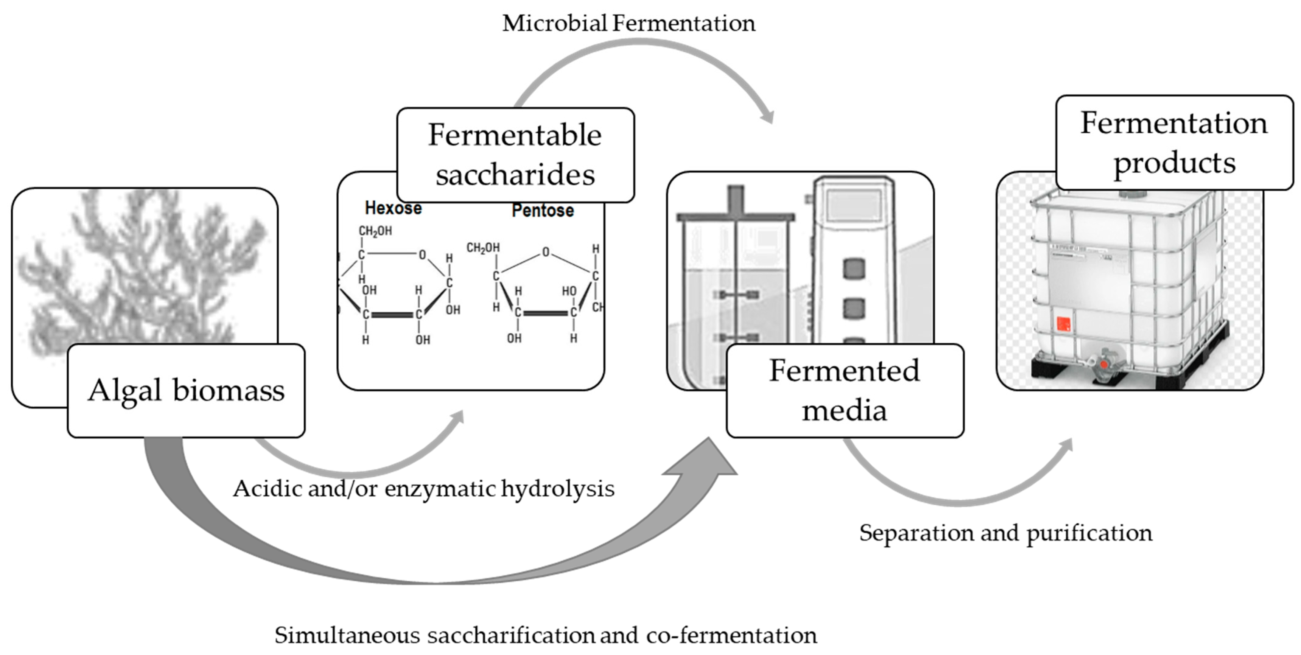 Fermentation 10 00283 g003