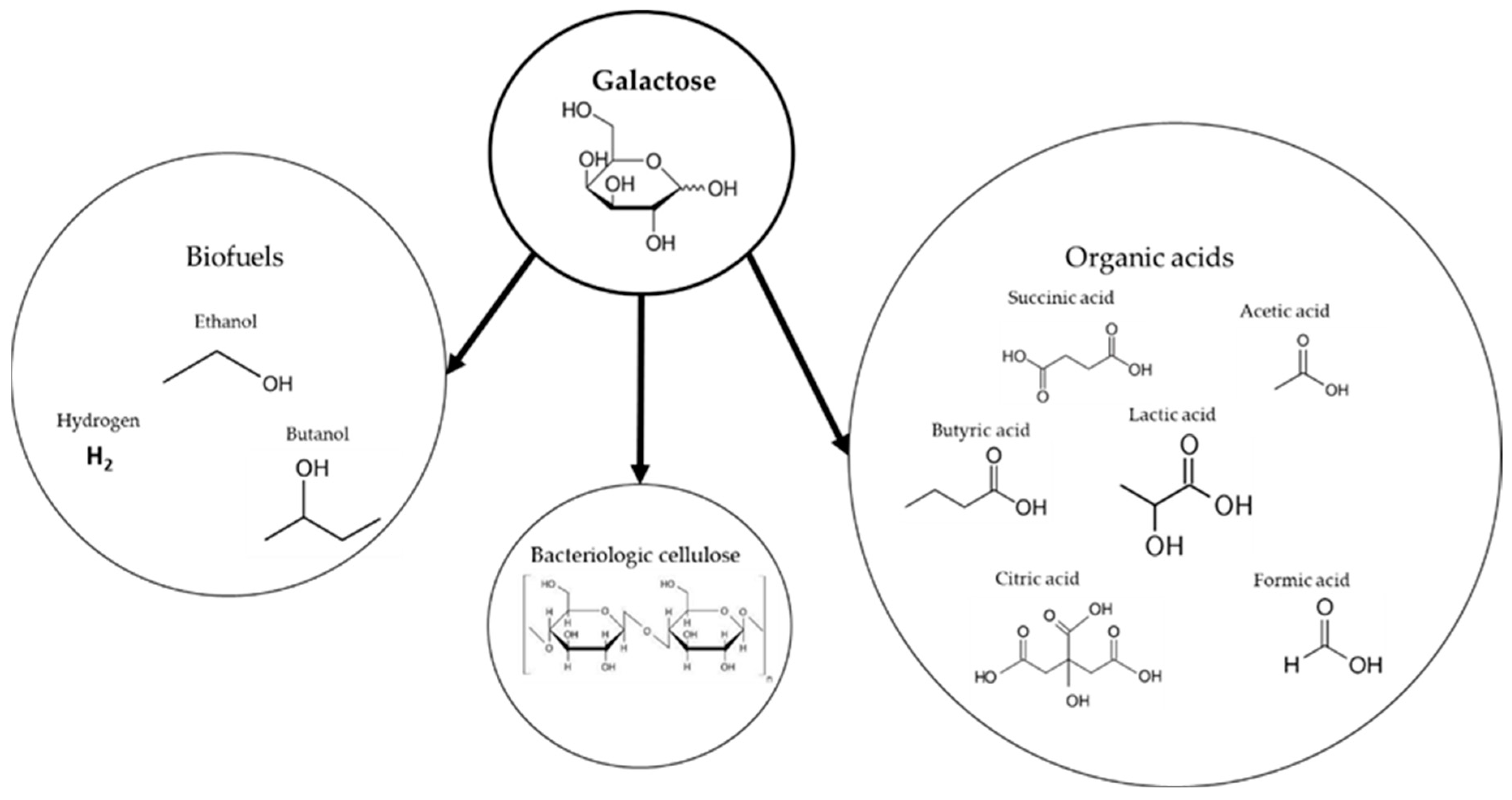 Fermentation 10 00283 g006