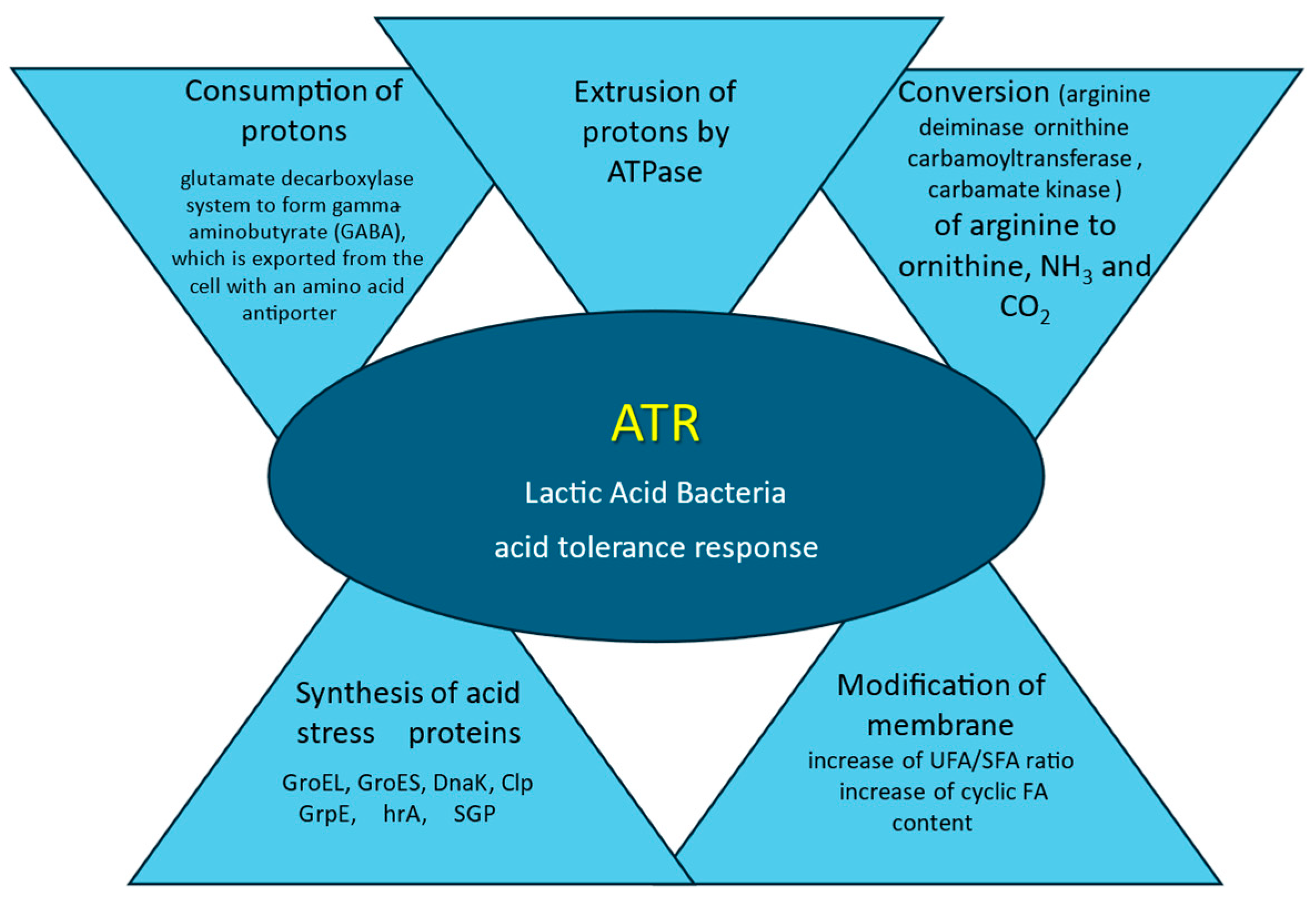 Fermentation 10 00298 g001