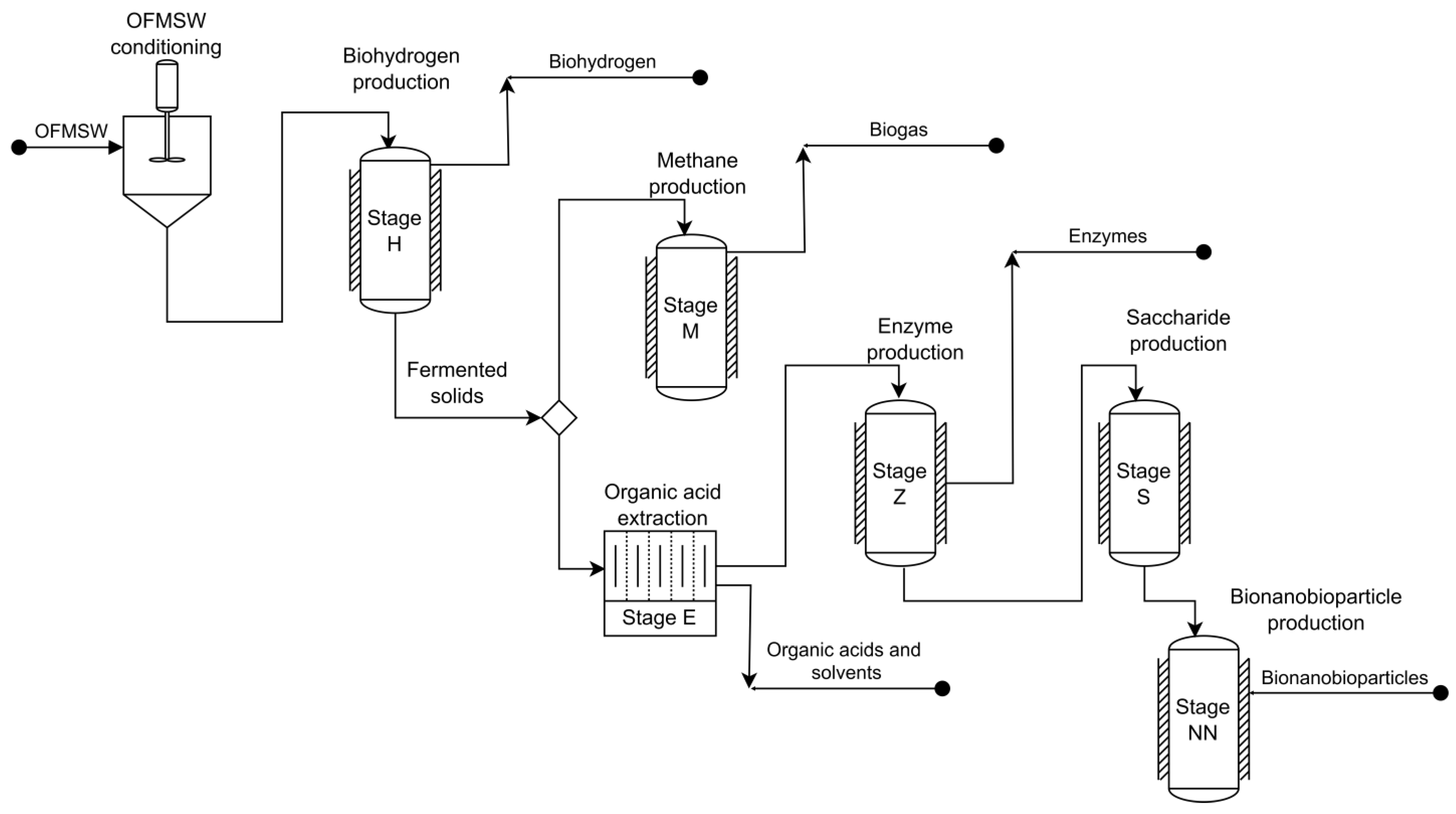 Fermentation 10 00305 g001