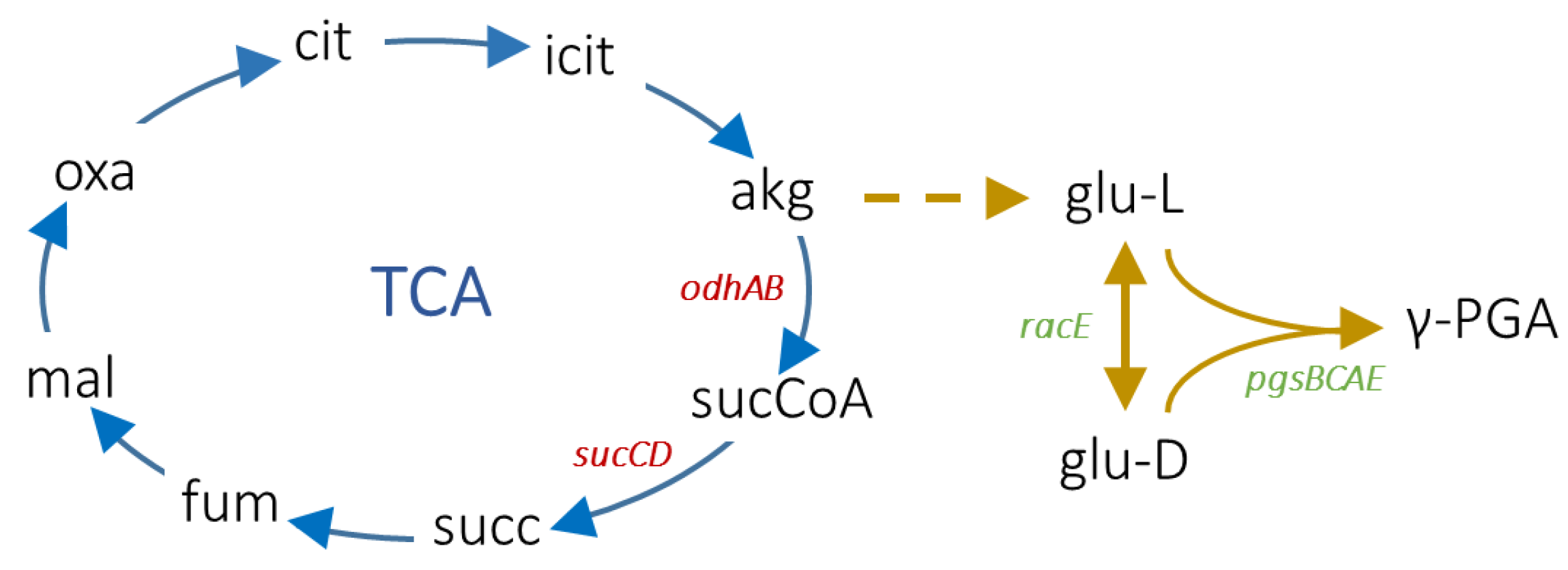Fermentation 10 00319 g001