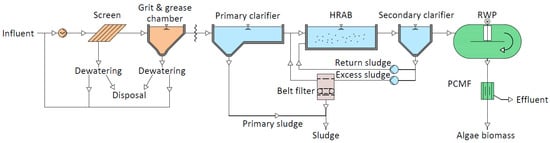 Fermentation 10 00325 g001