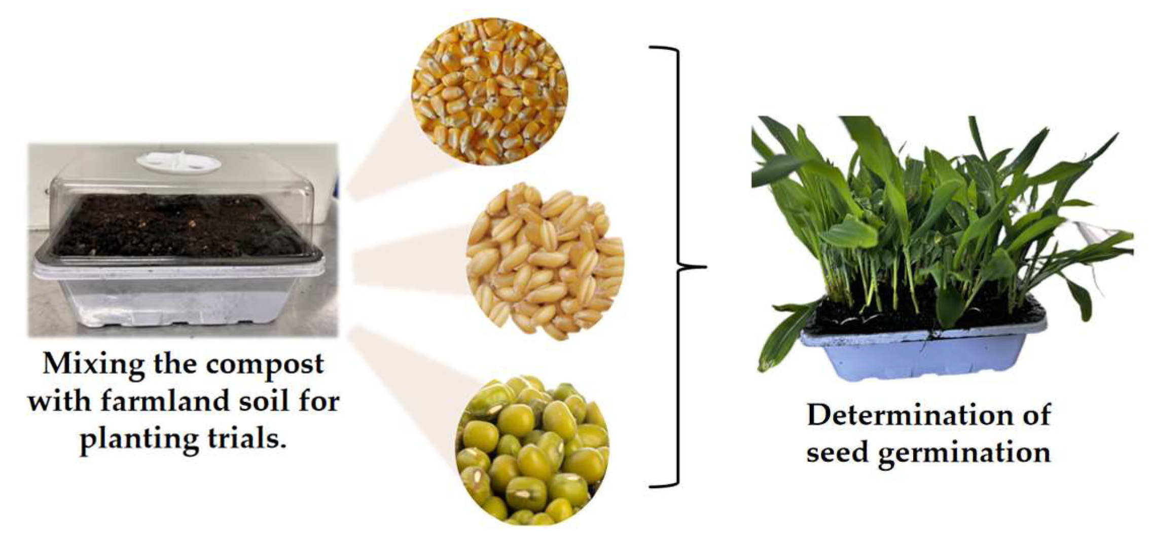 Fermentation 10 00328 g005 Fermentation 10 00328 g005