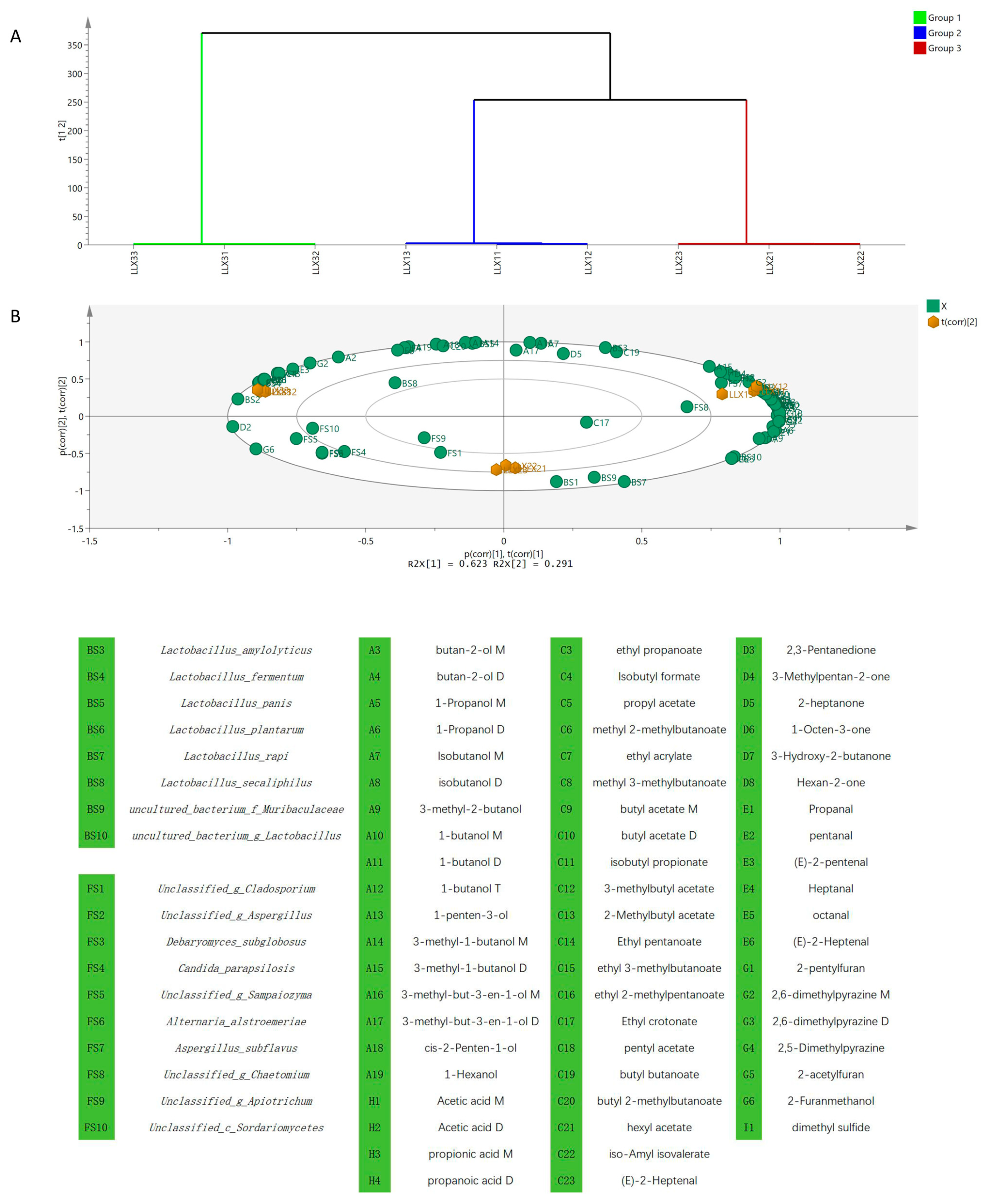 Fermentation 10 00333 g006
