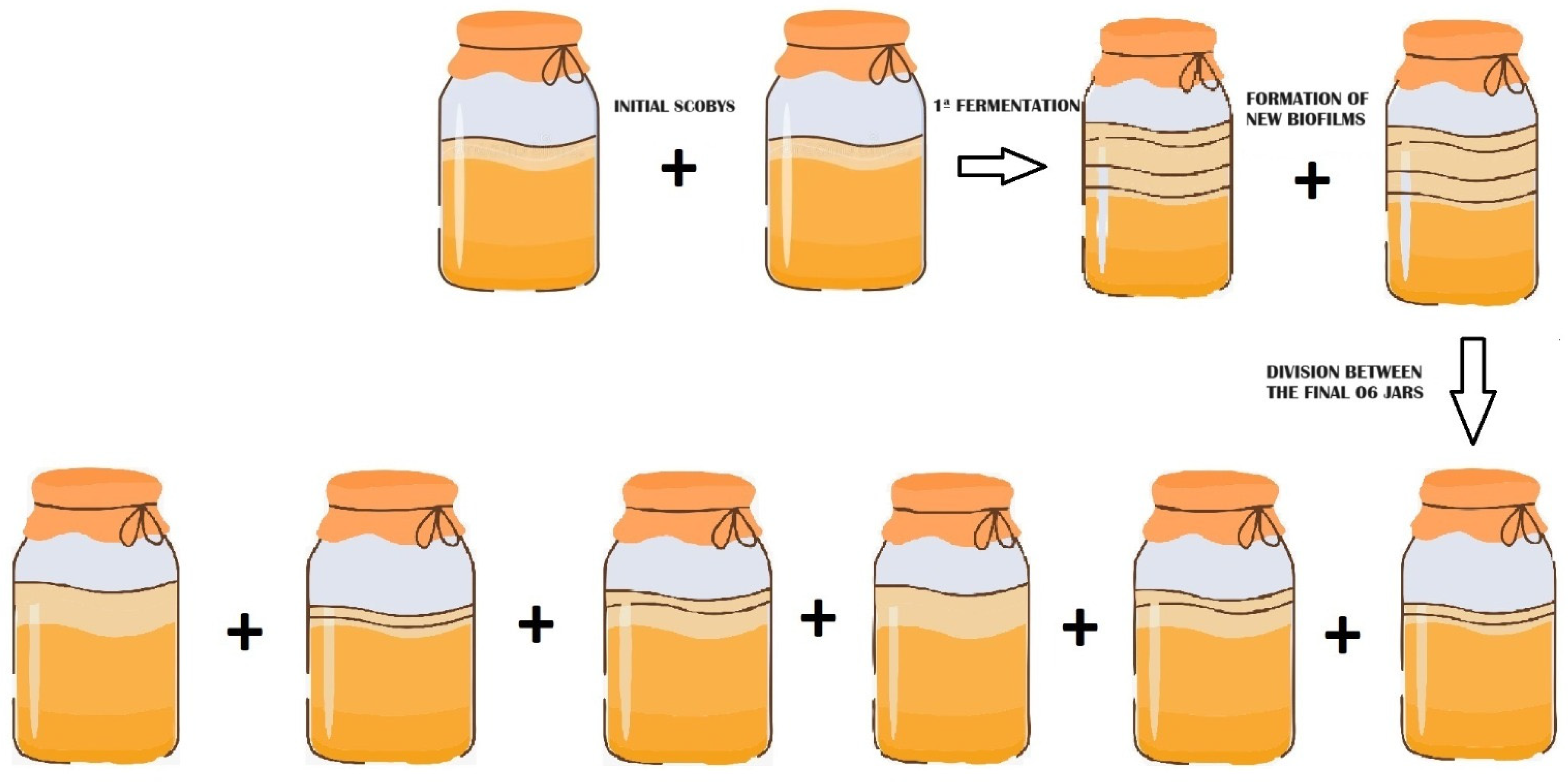 Fermentation 10 00334 g002 Fermentation 10 00334 g002