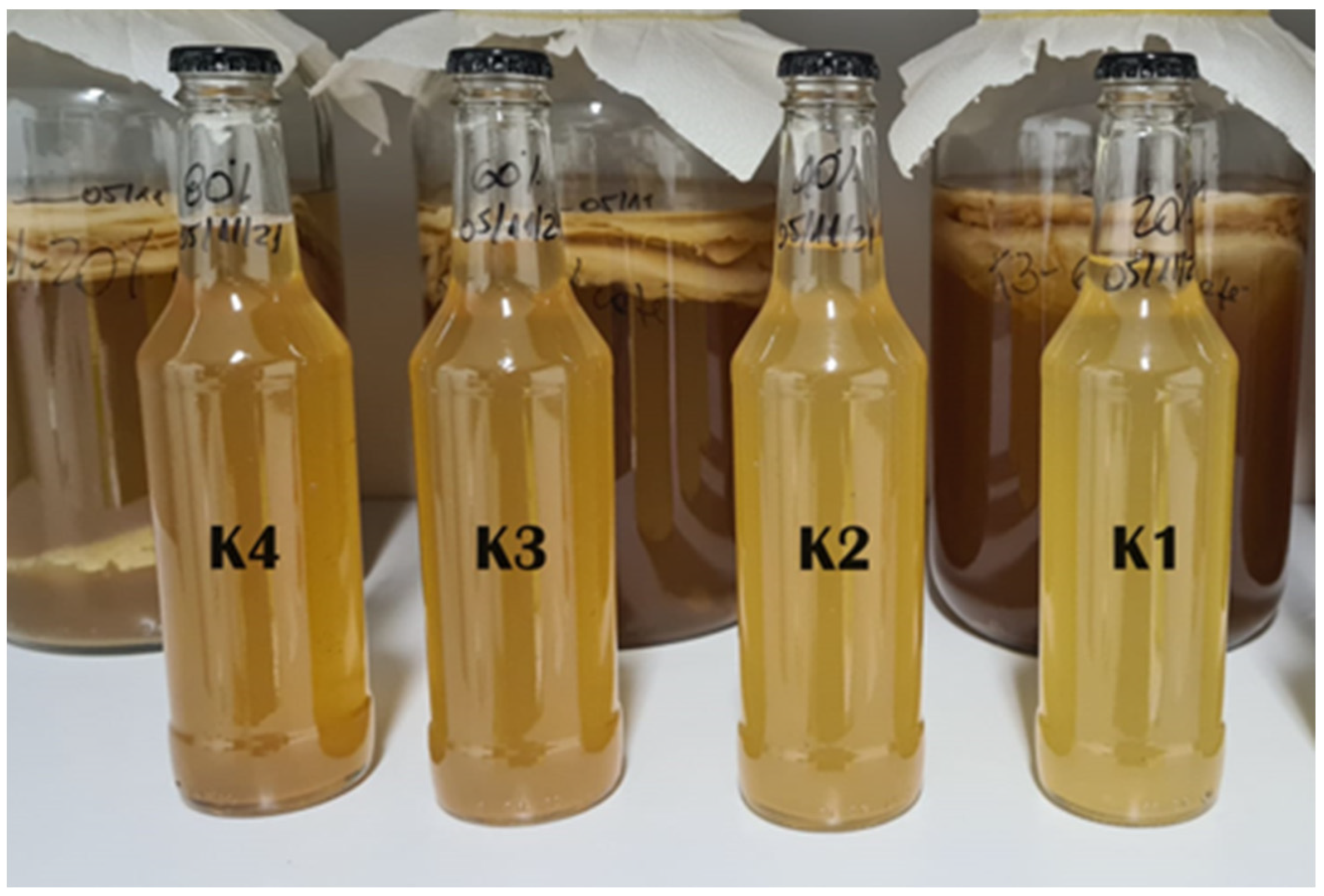 Fermentation 10 00334 g003 Fermentation 10 00334 g003
