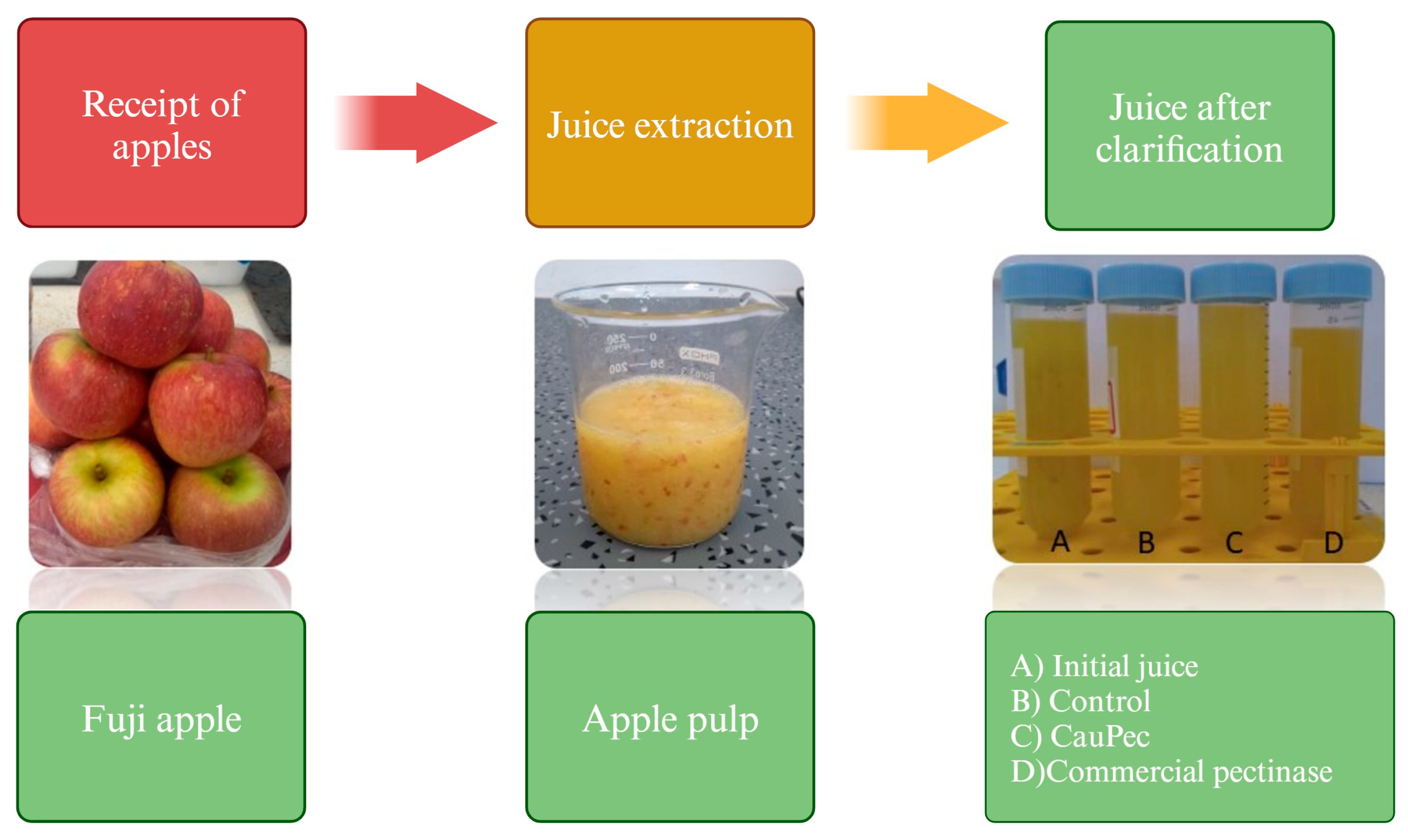 Fermentation 10 00337 g004 Fermentation 10 00337 g004
