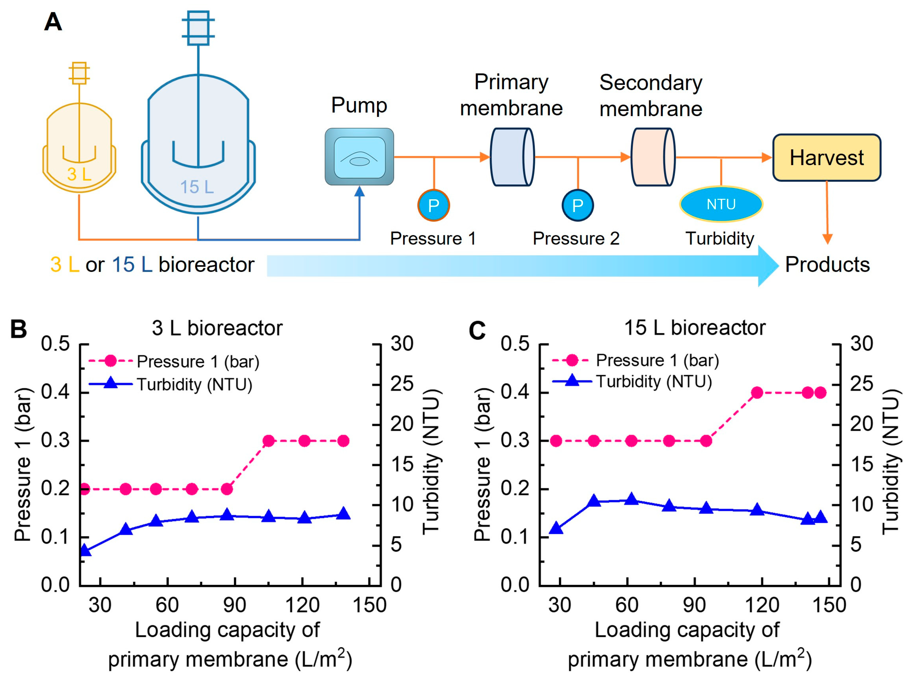Fermentation 10 00352 g005