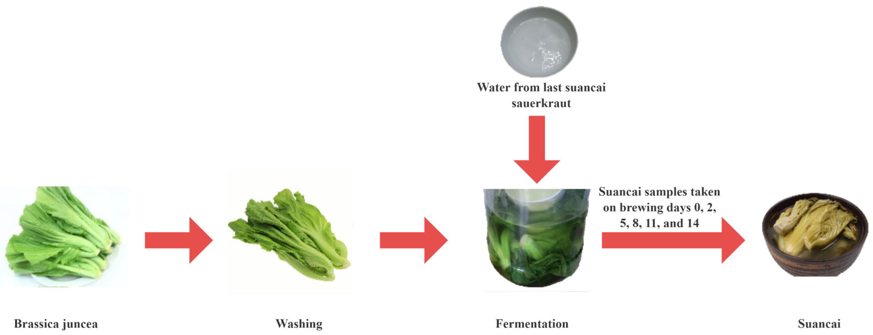 Fermentation 10 00353 g001