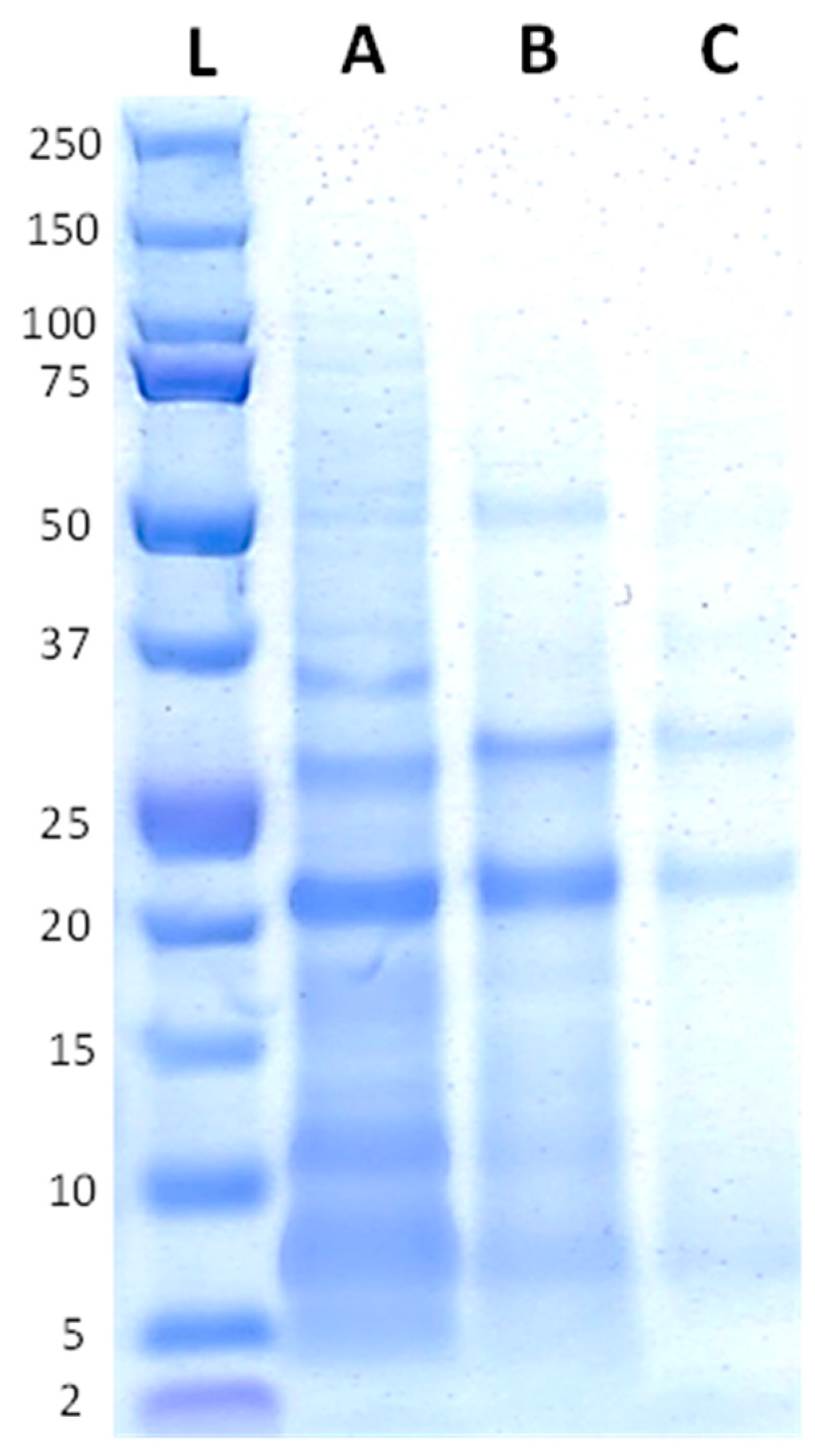 Fermentation 10 00360 g002