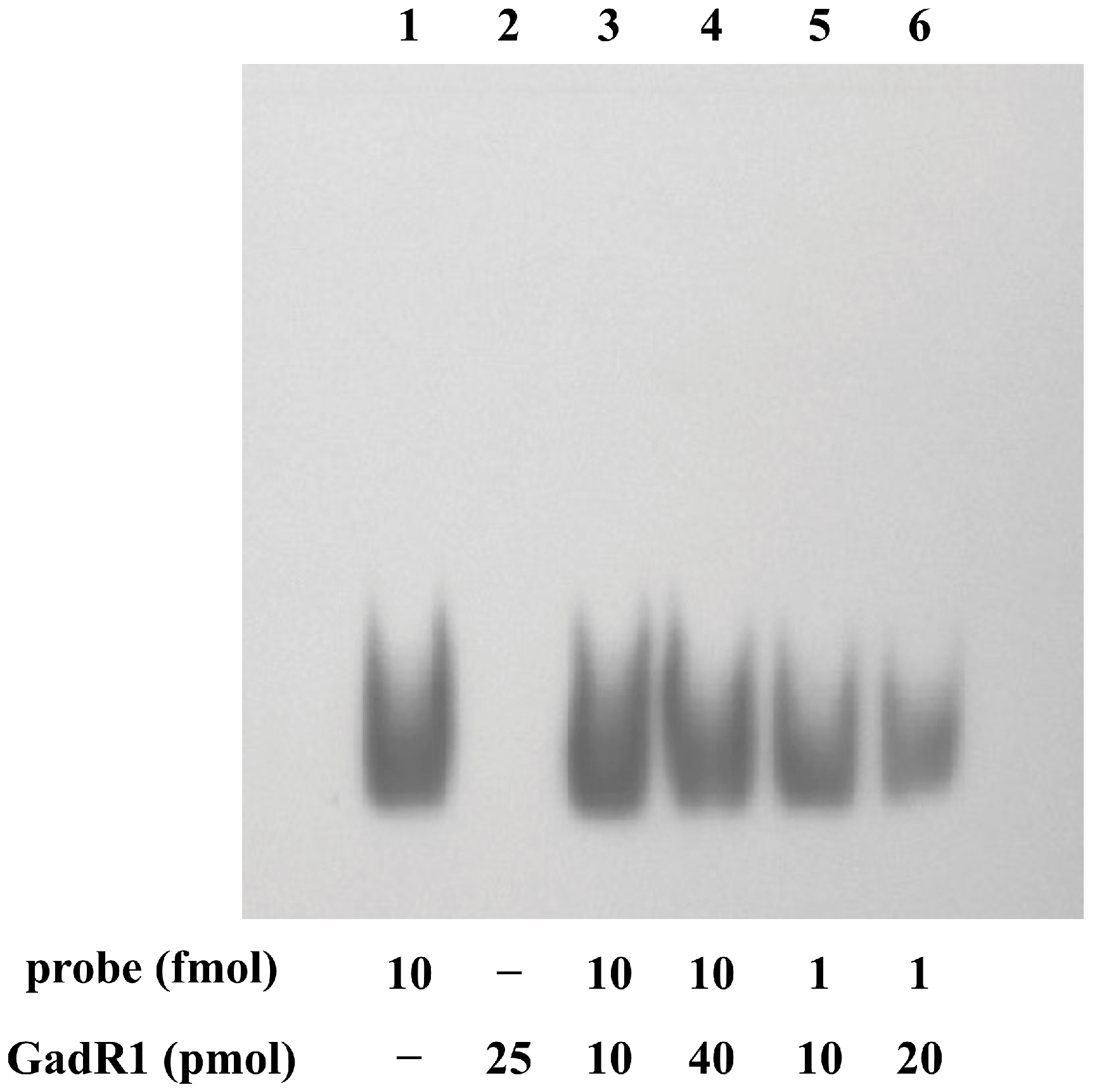 Fermentation 10 00379 g003