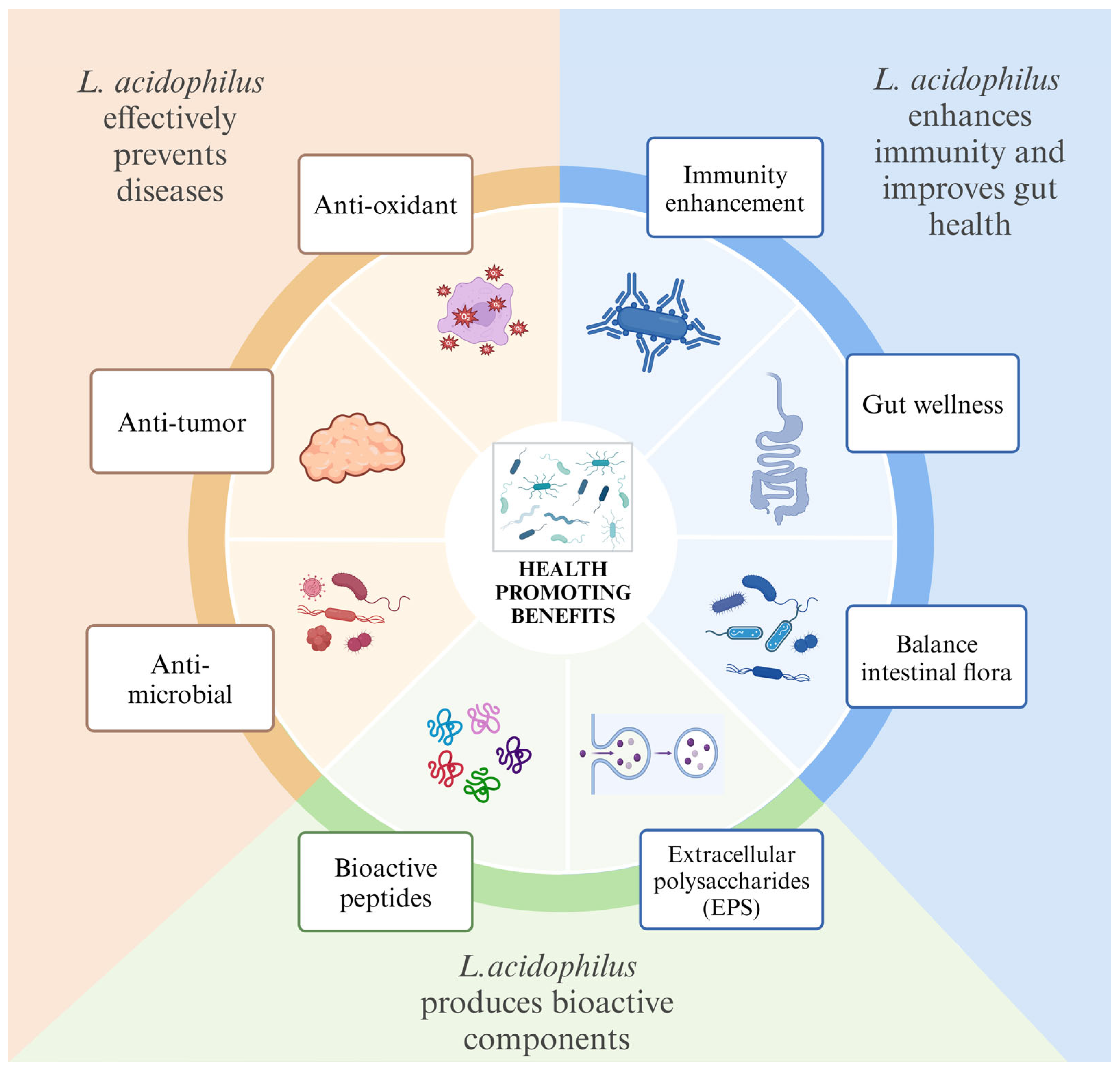Fermentation 10 00380 g001