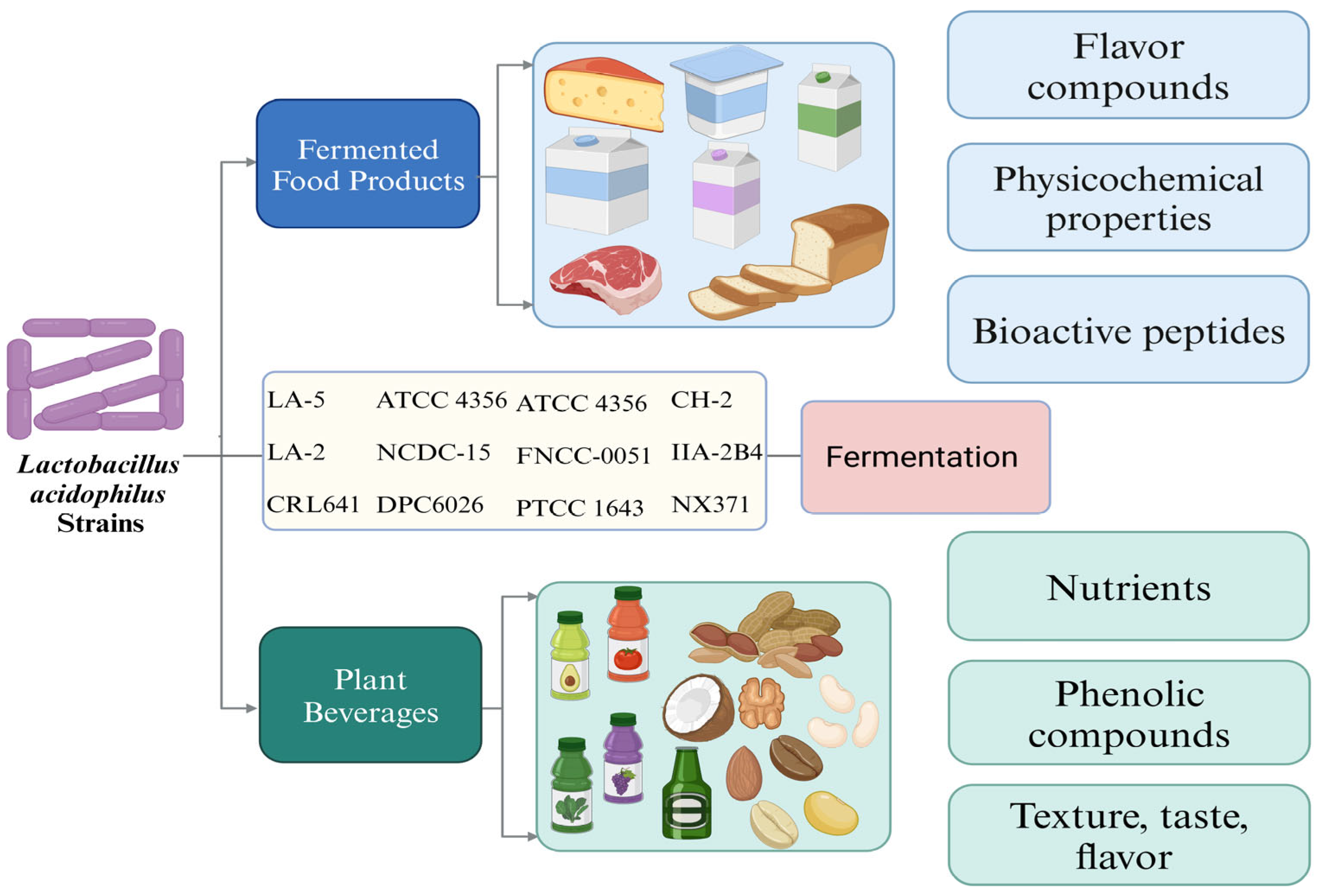 Fermentation 10 00380 g002