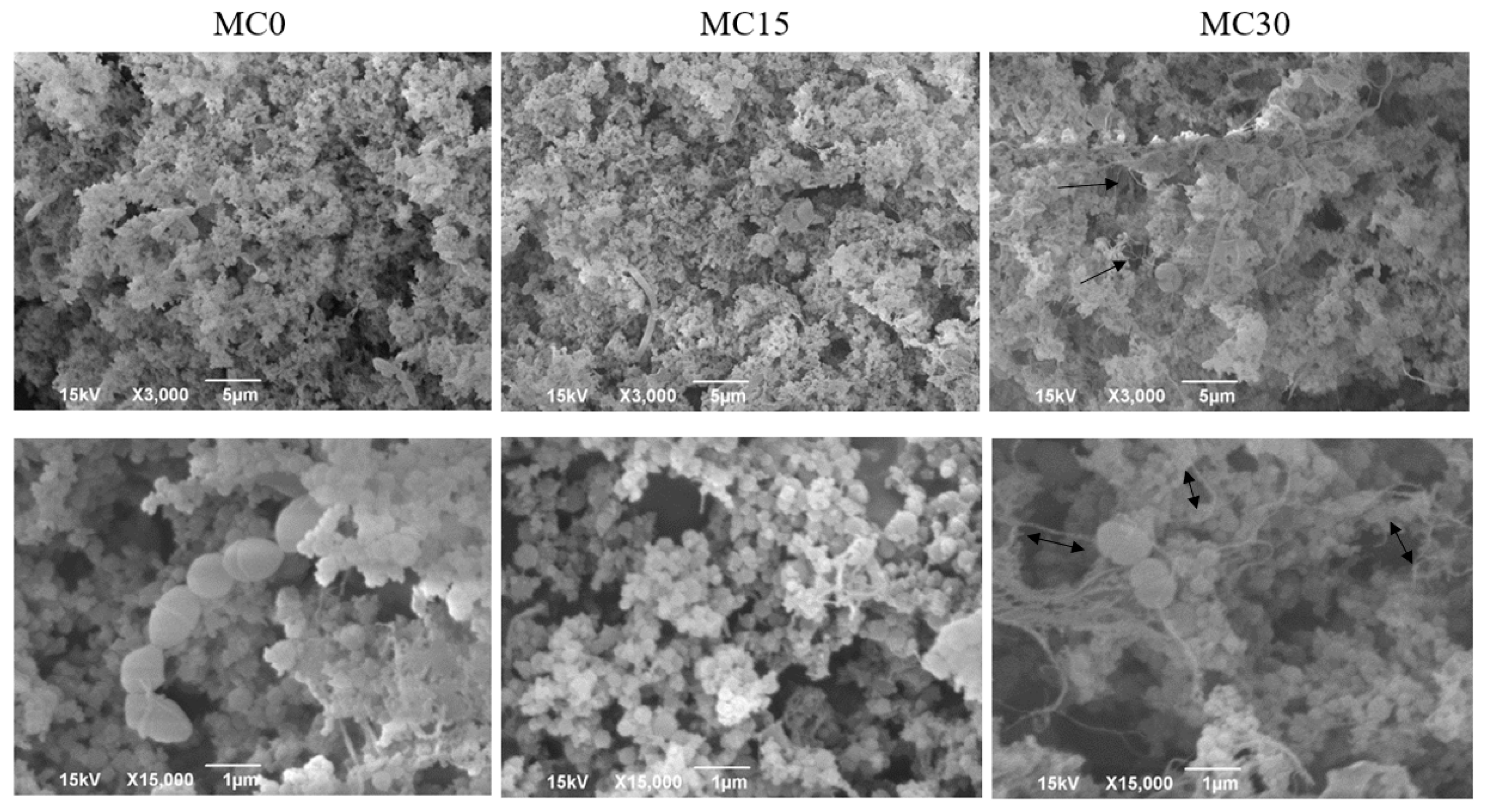 Fermentation 10 00382 g006
