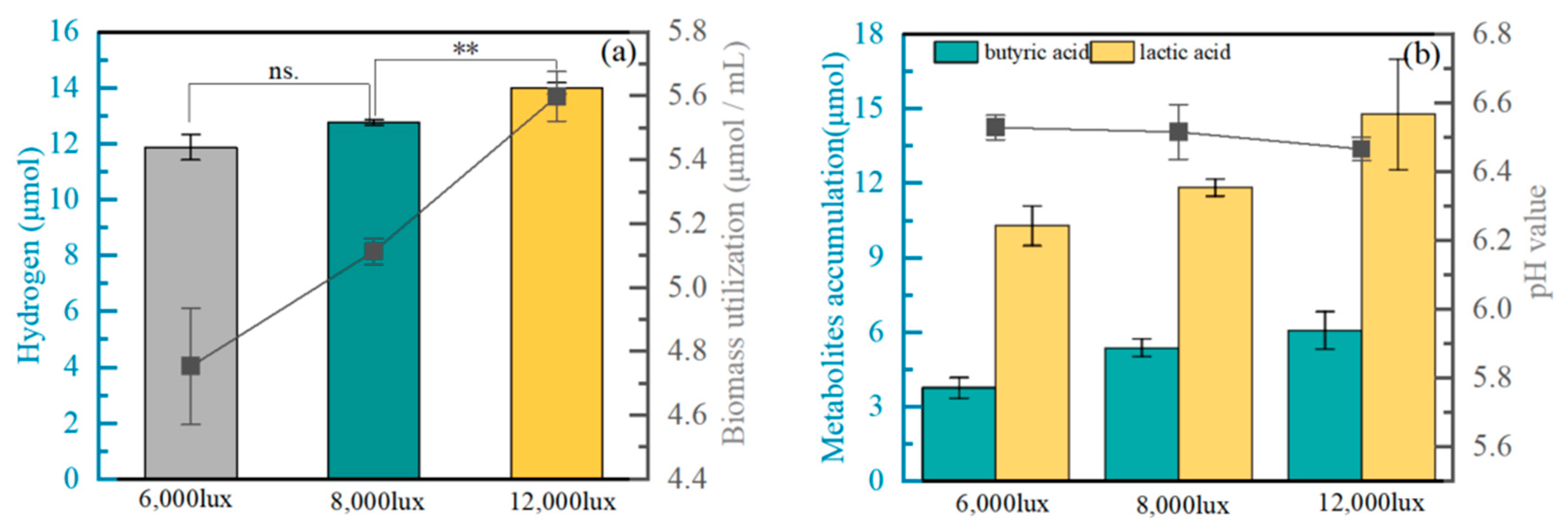 Fermentation 10 00383 g004