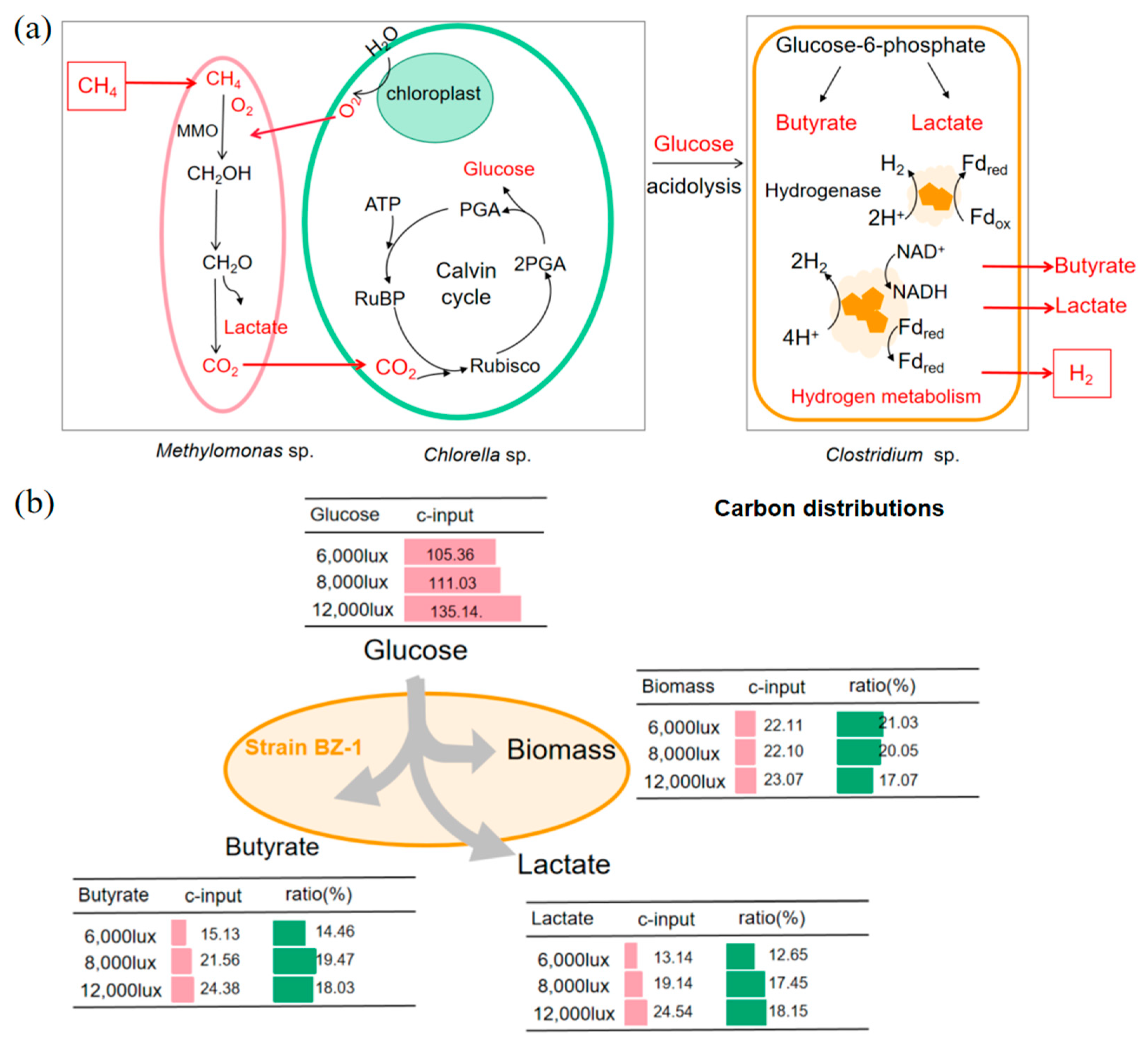 Fermentation 10 00383 g005