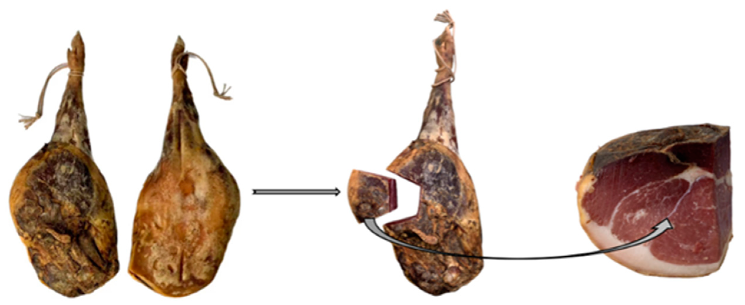 Fermentation 10 00392 g001