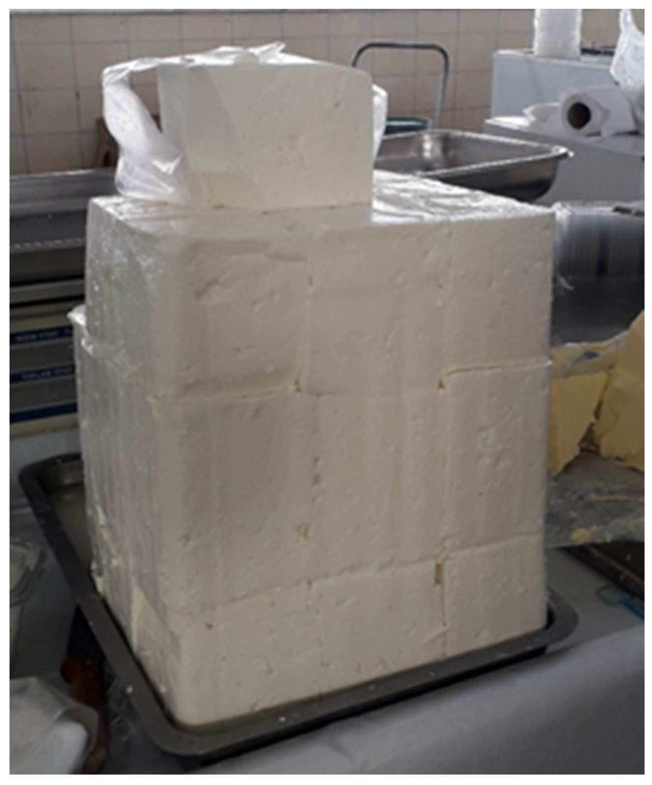 Fermentation 10 00404 g002