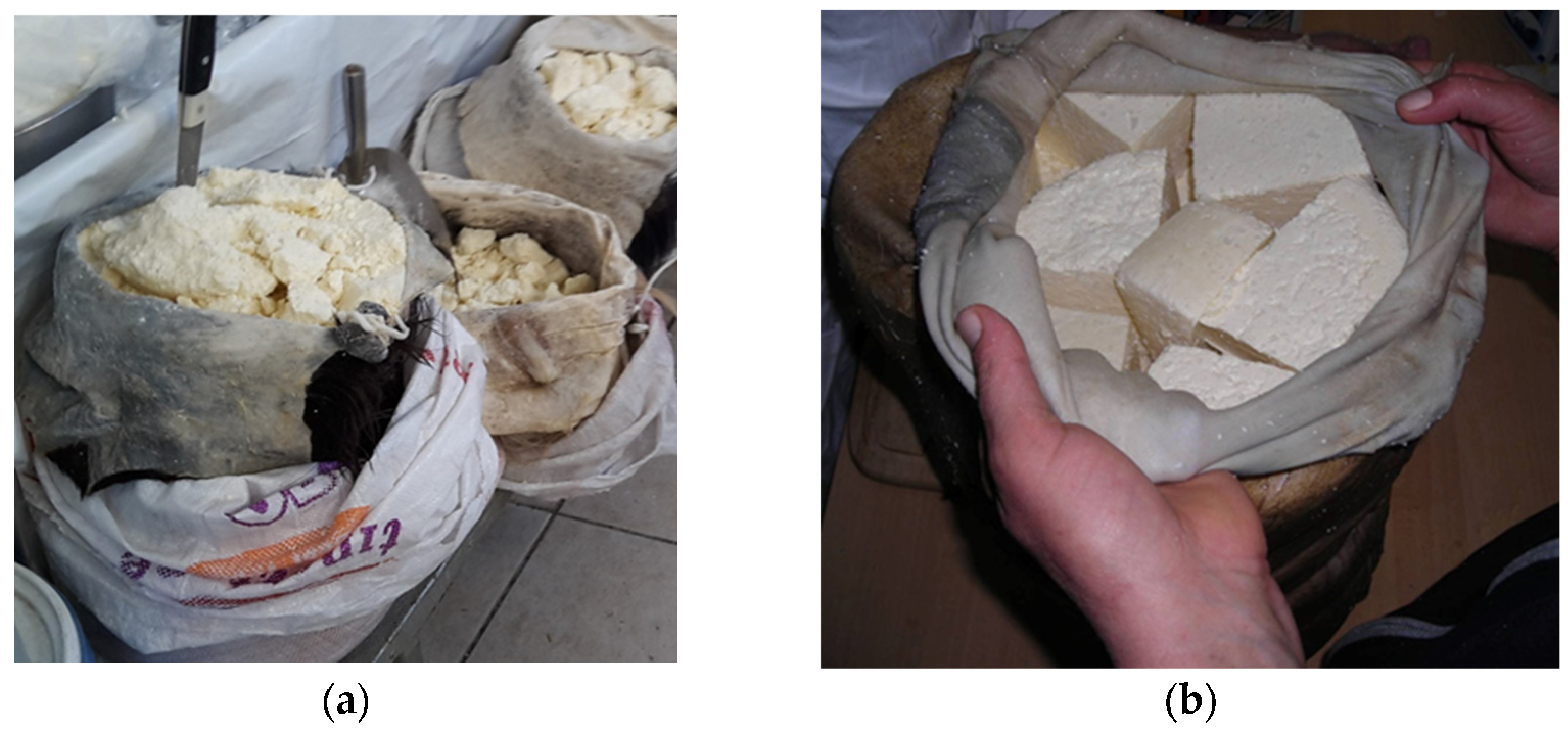 Fermentation 10 00404 g005