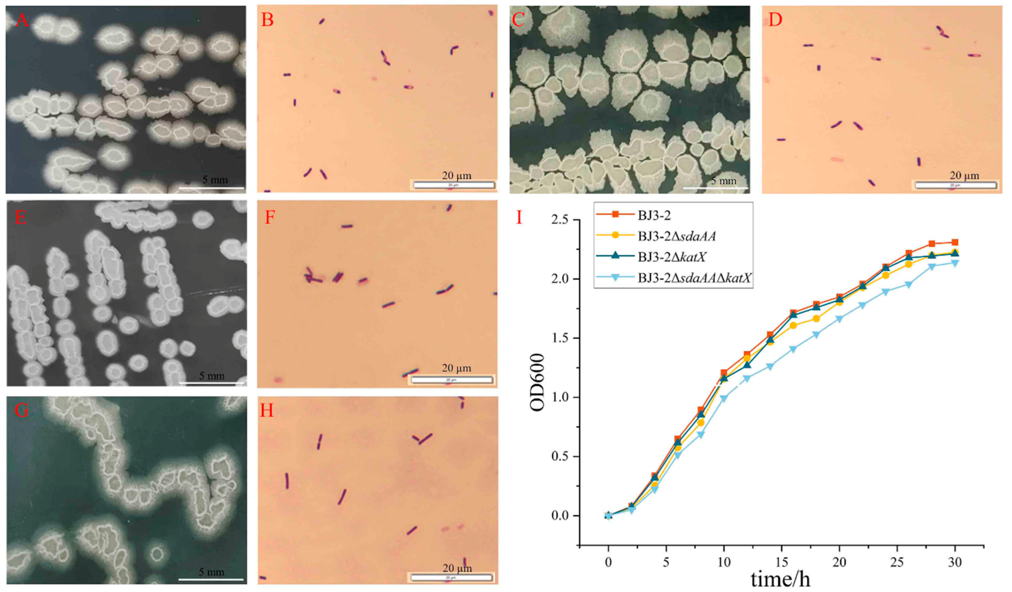 Fermentation 10 00409 g002