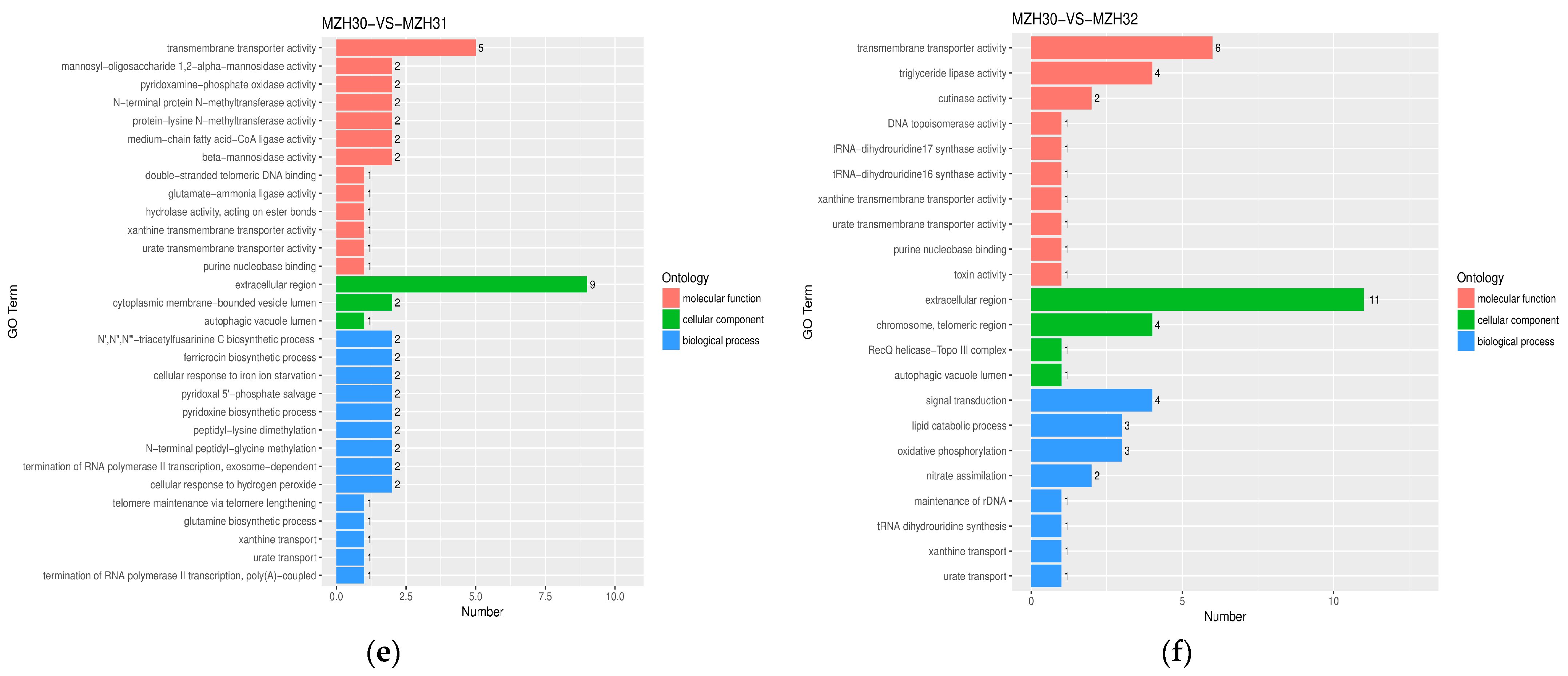 Fermentation 10 00445 g003b