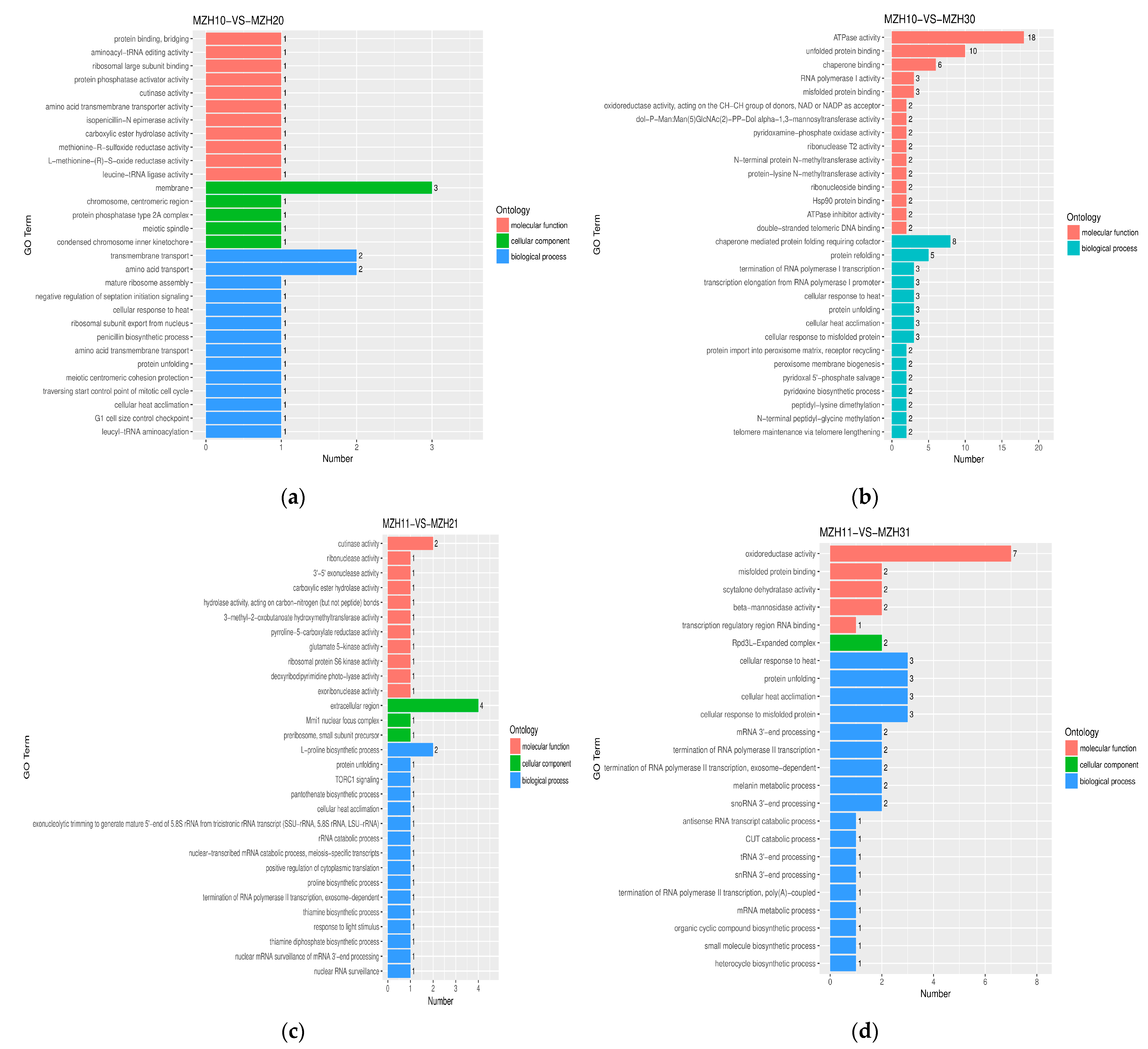 Fermentation 10 00445 g004a