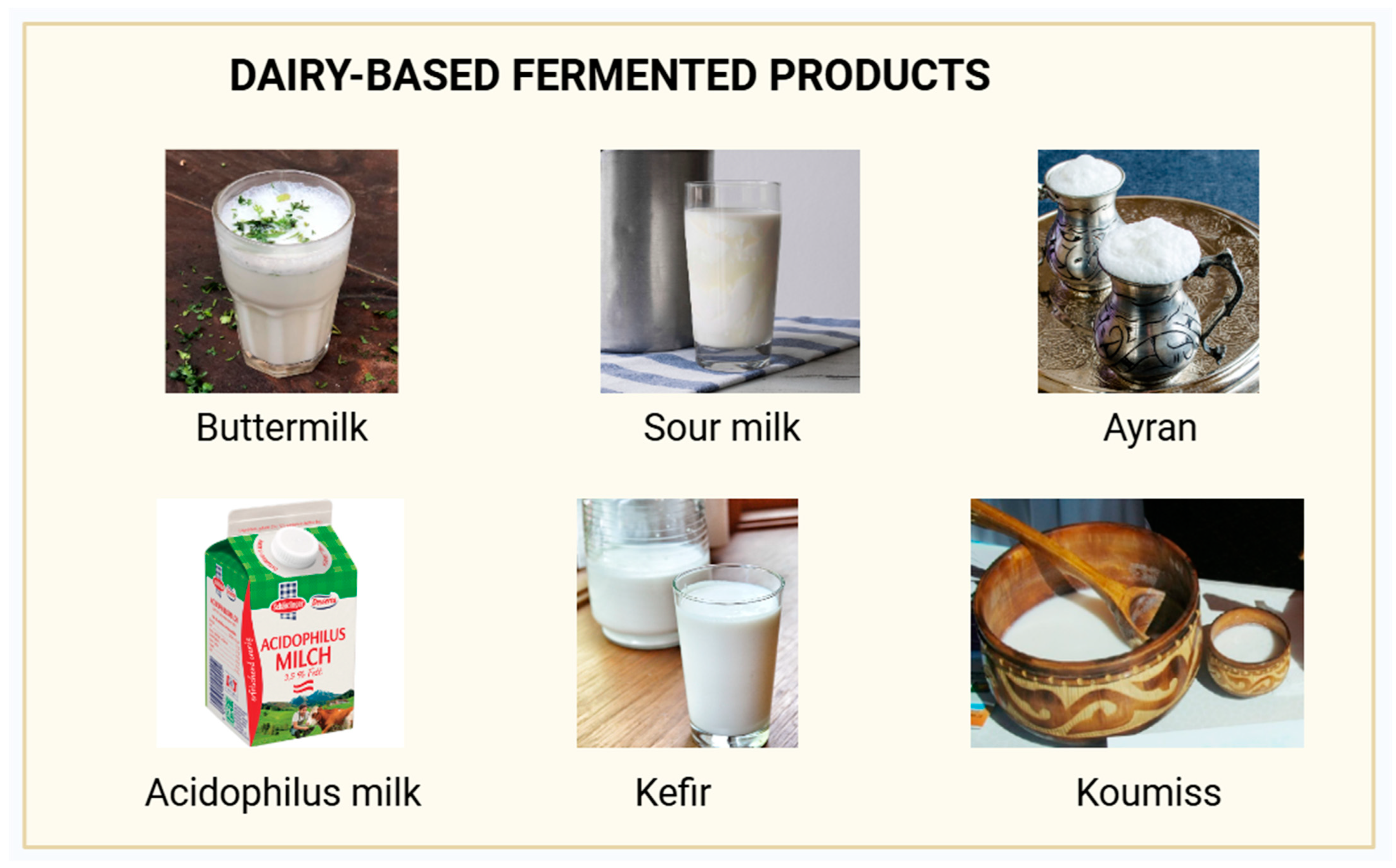 Fermentation 10 00489 g001