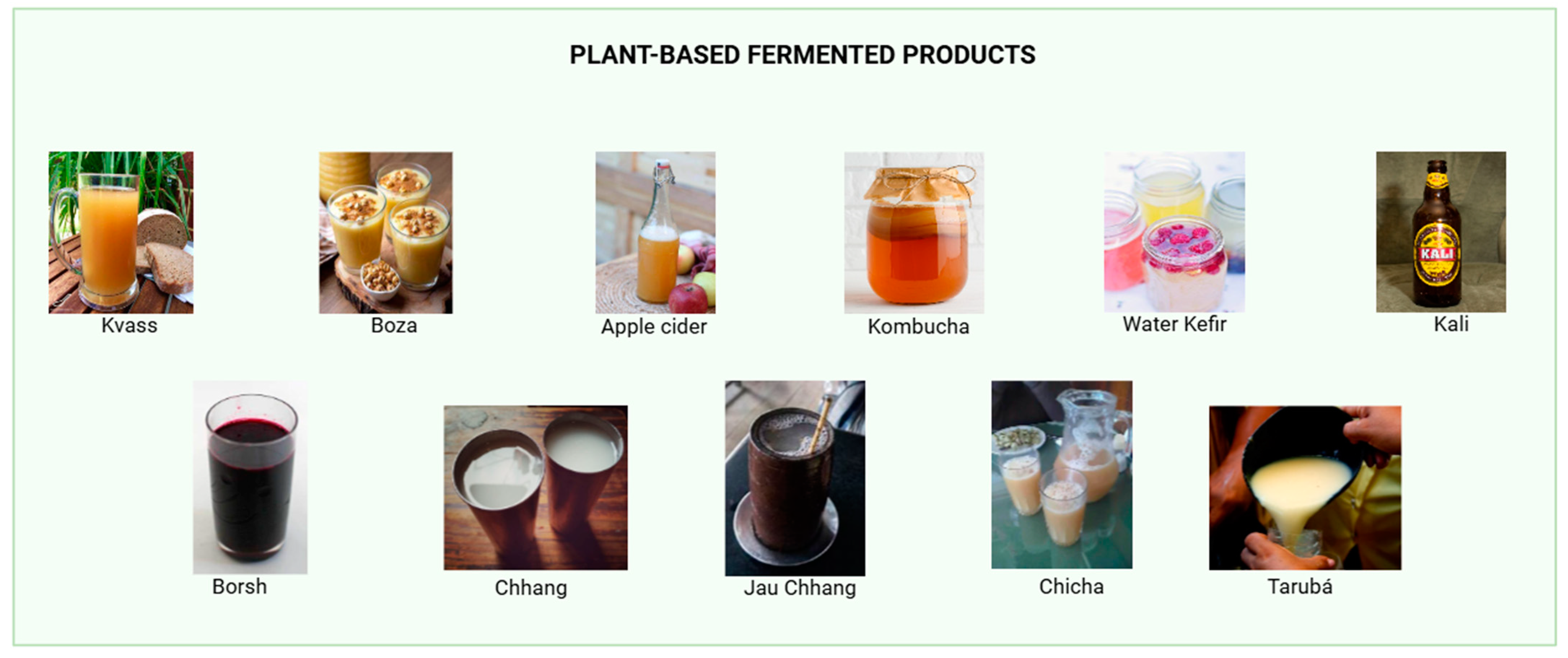 Fermentation 10 00489 g002