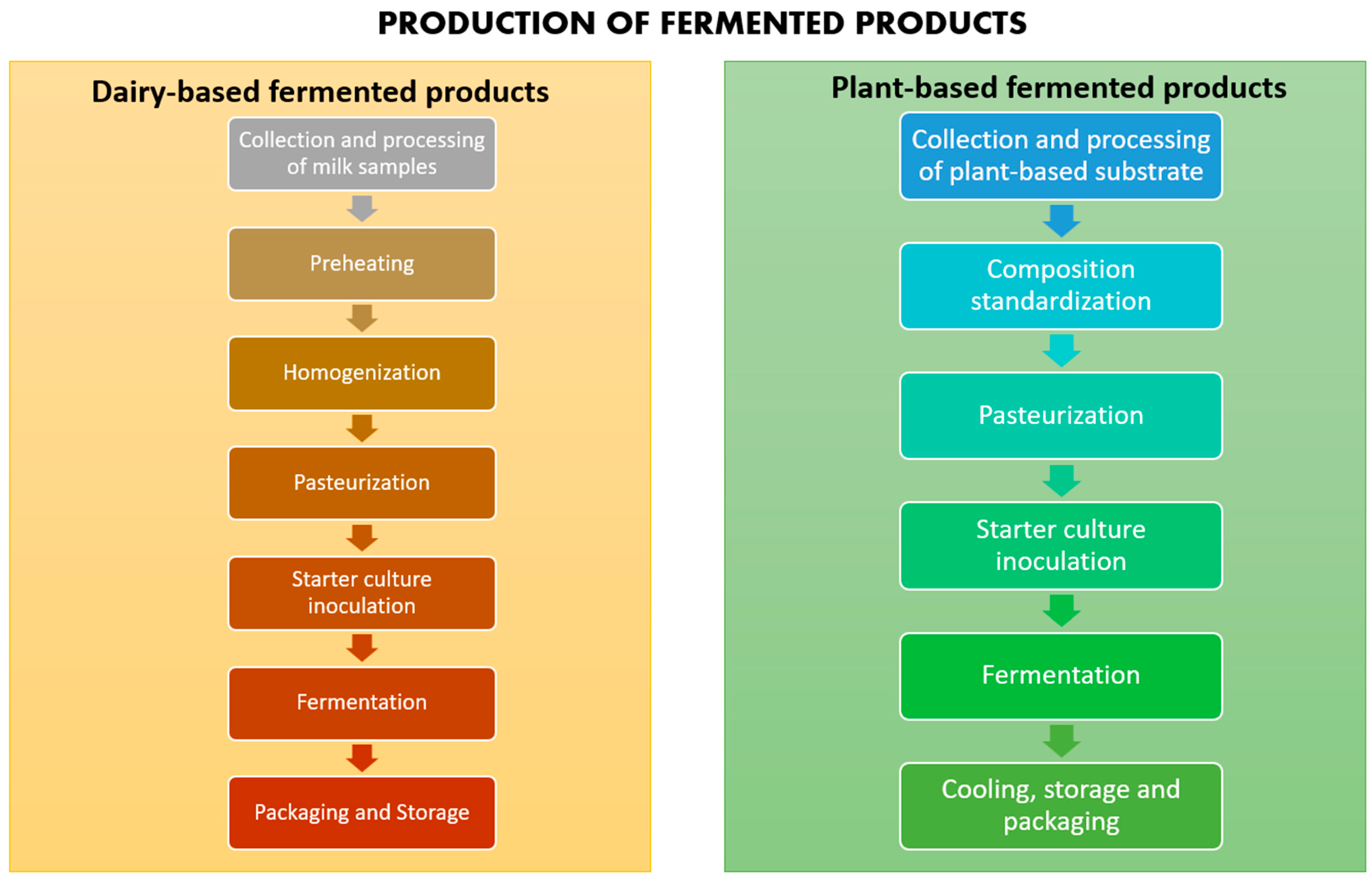 Fermentation 10 00489 g004