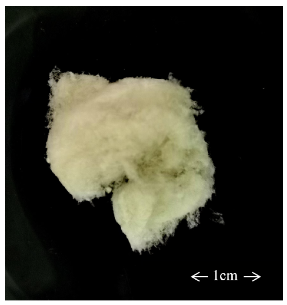 Fermentation 10 00491 g006 Fermentation 10 00491 g006