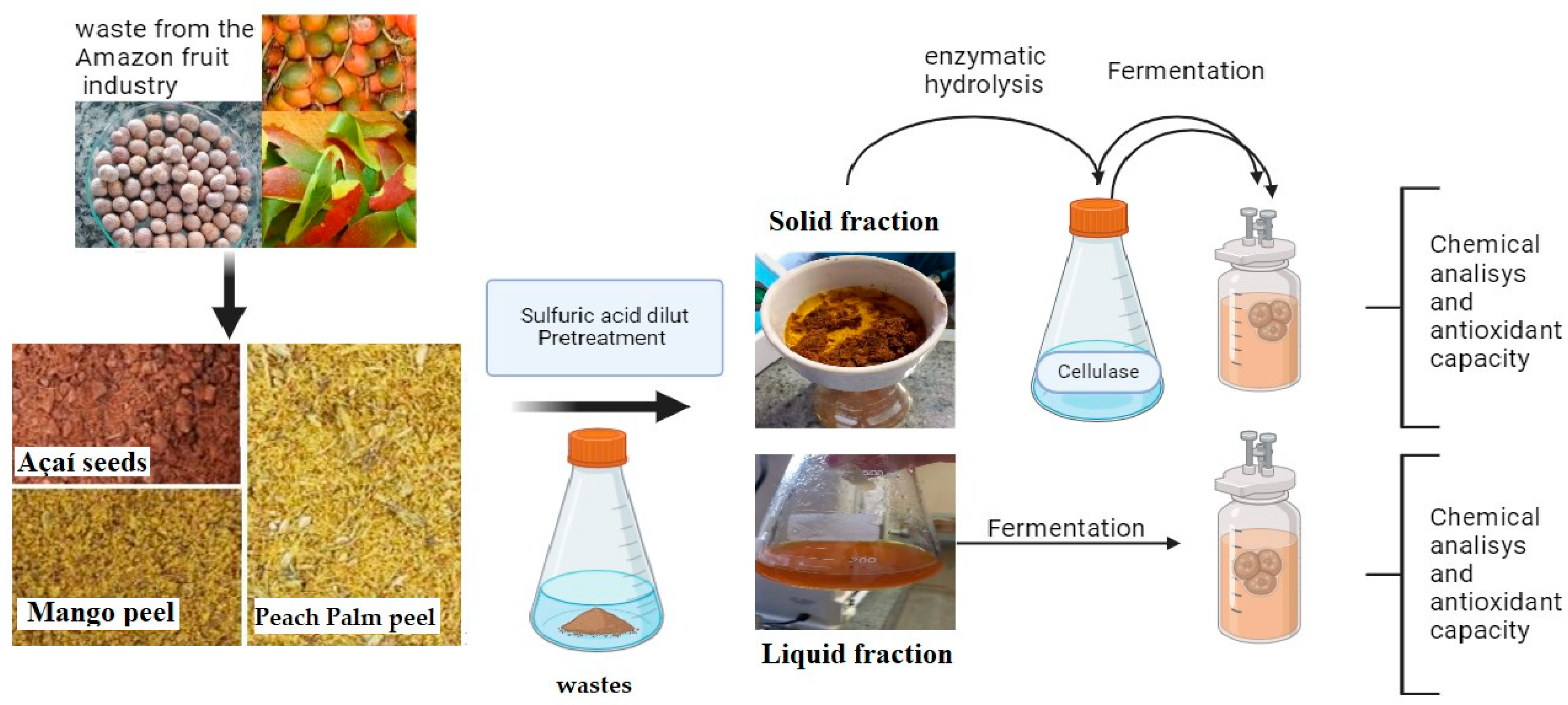 Fermentation 10 00496 g001