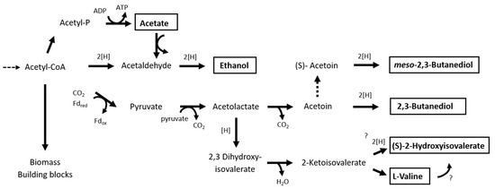 Fermentation 10 00546 g007