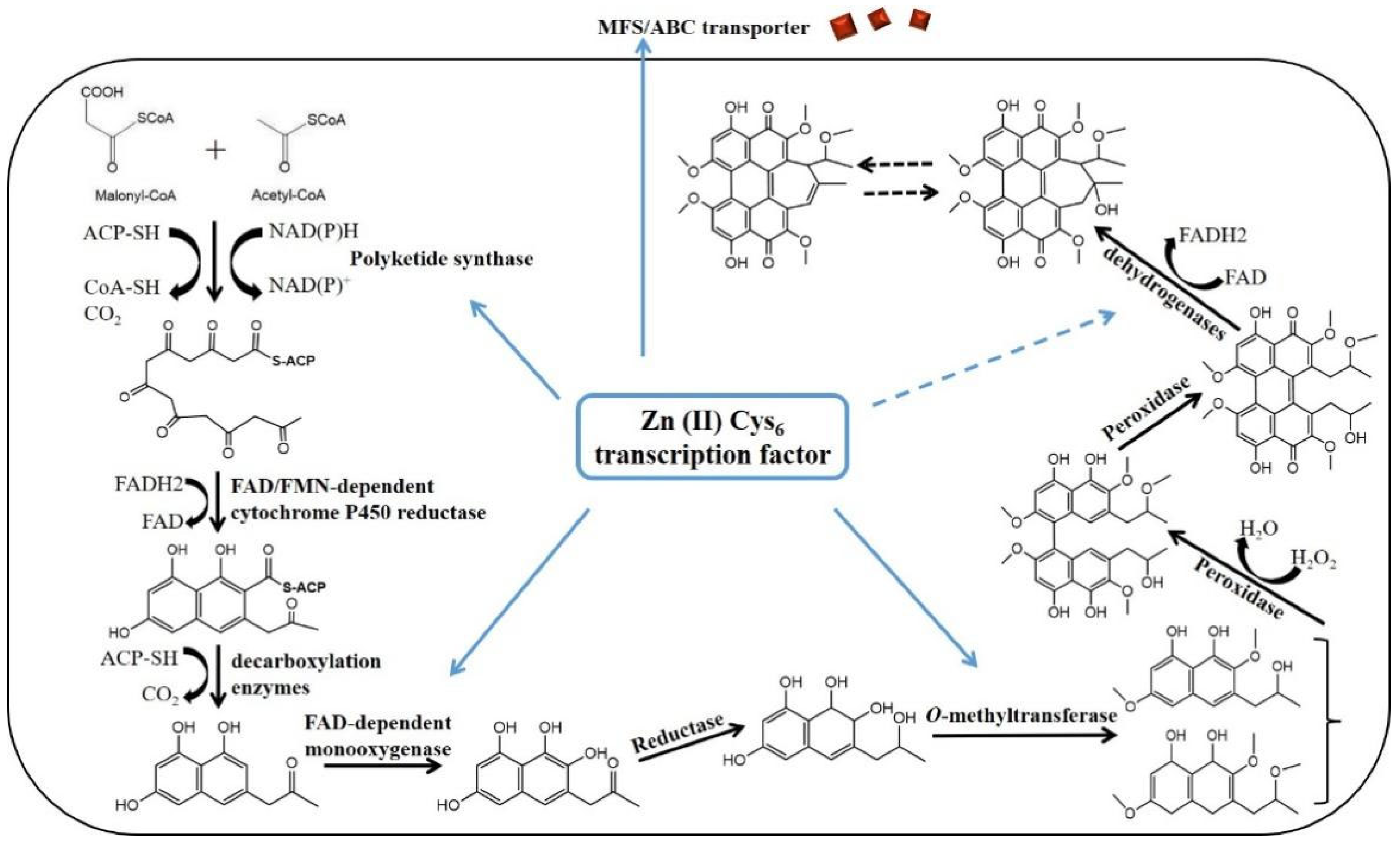 Fermentation 10 00559 g005