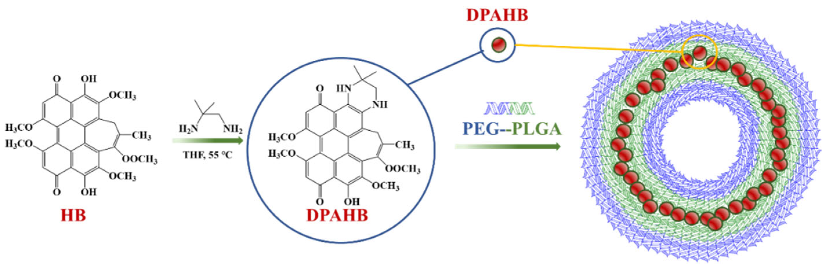 Fermentation 10 00559 g011