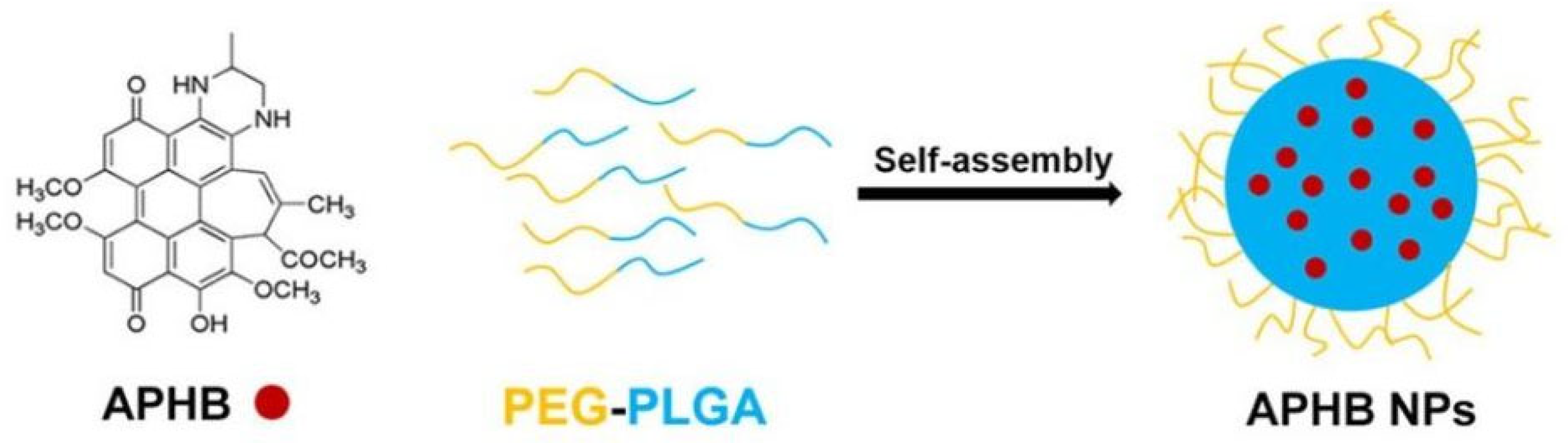 Fermentation 10 00559 g012