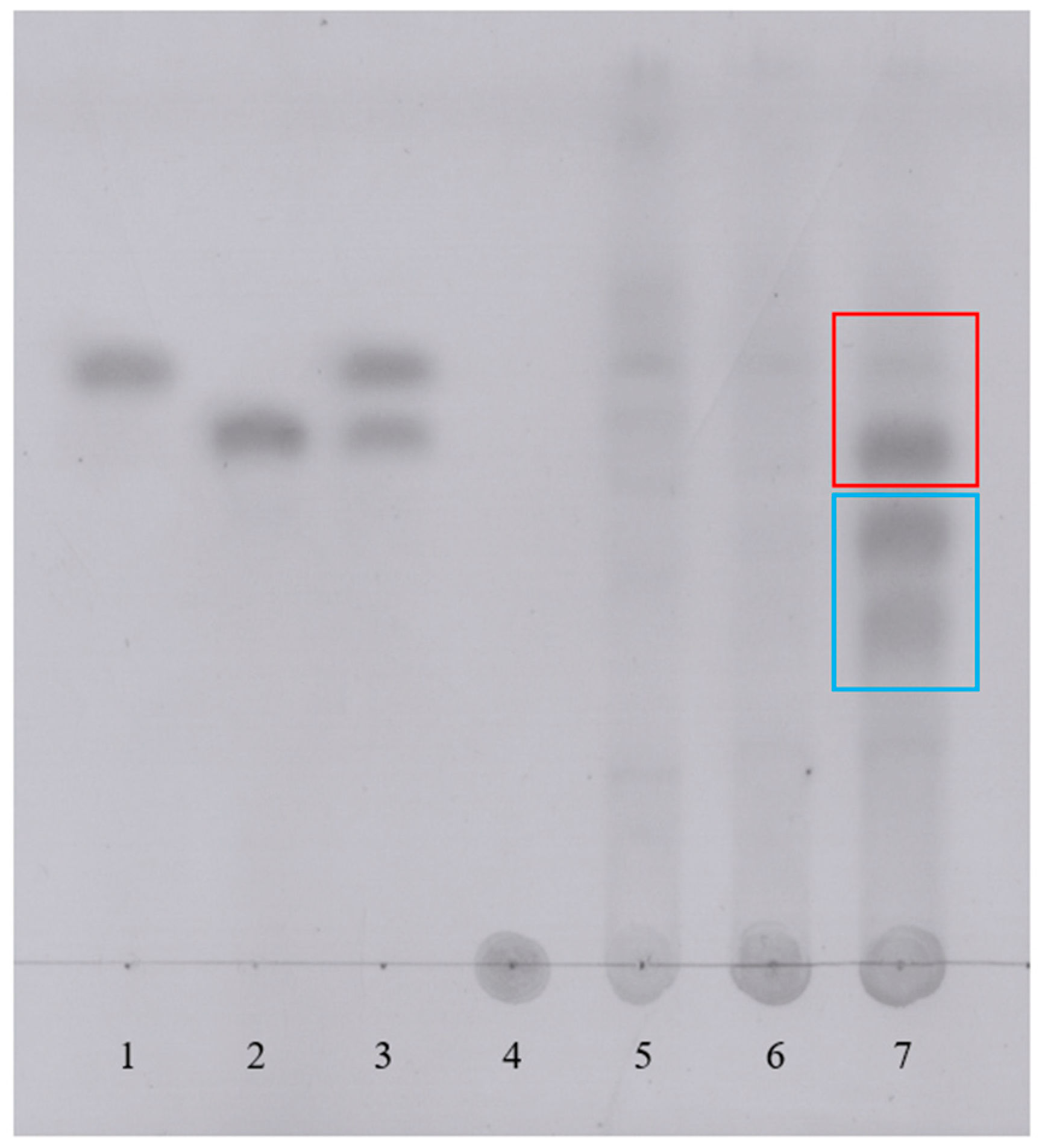 Fermentation 10 00561 g005