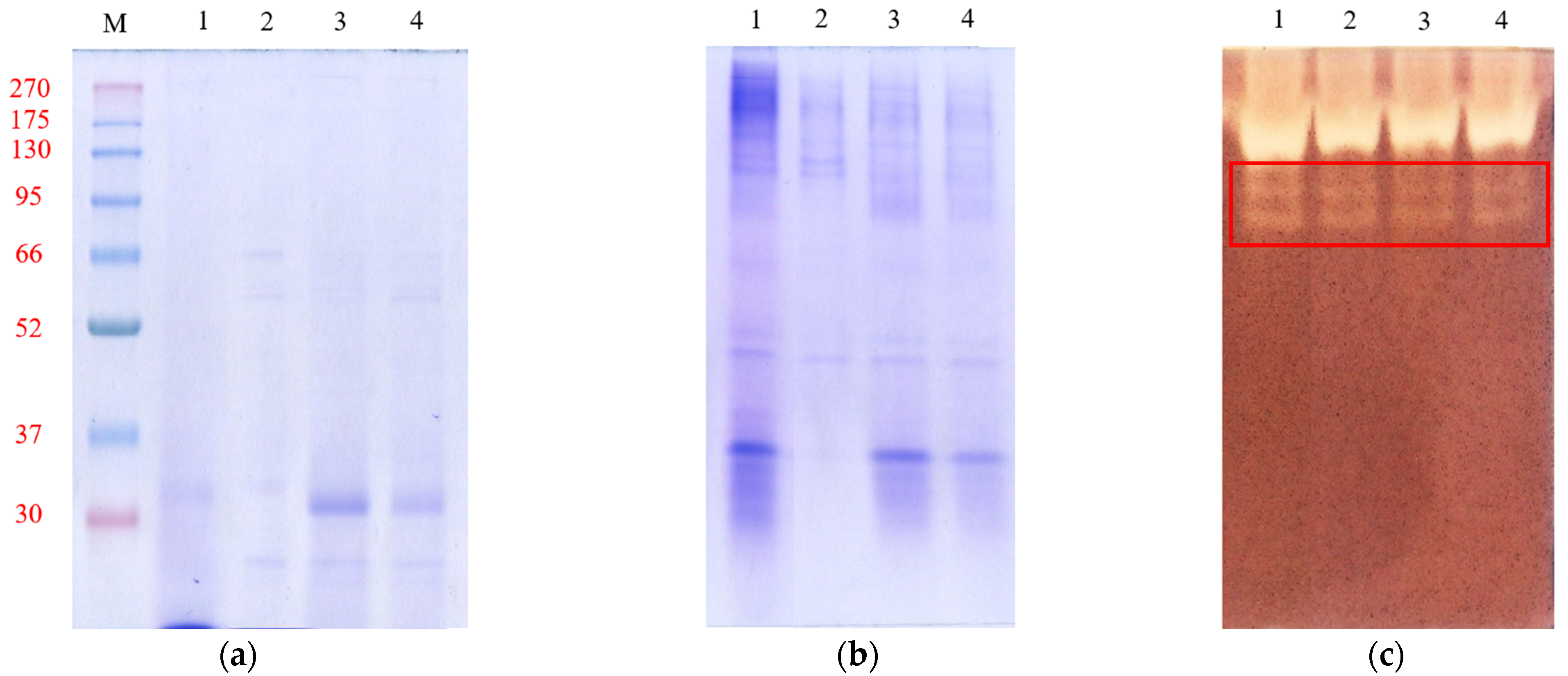 Fermentation 10 00561 g007