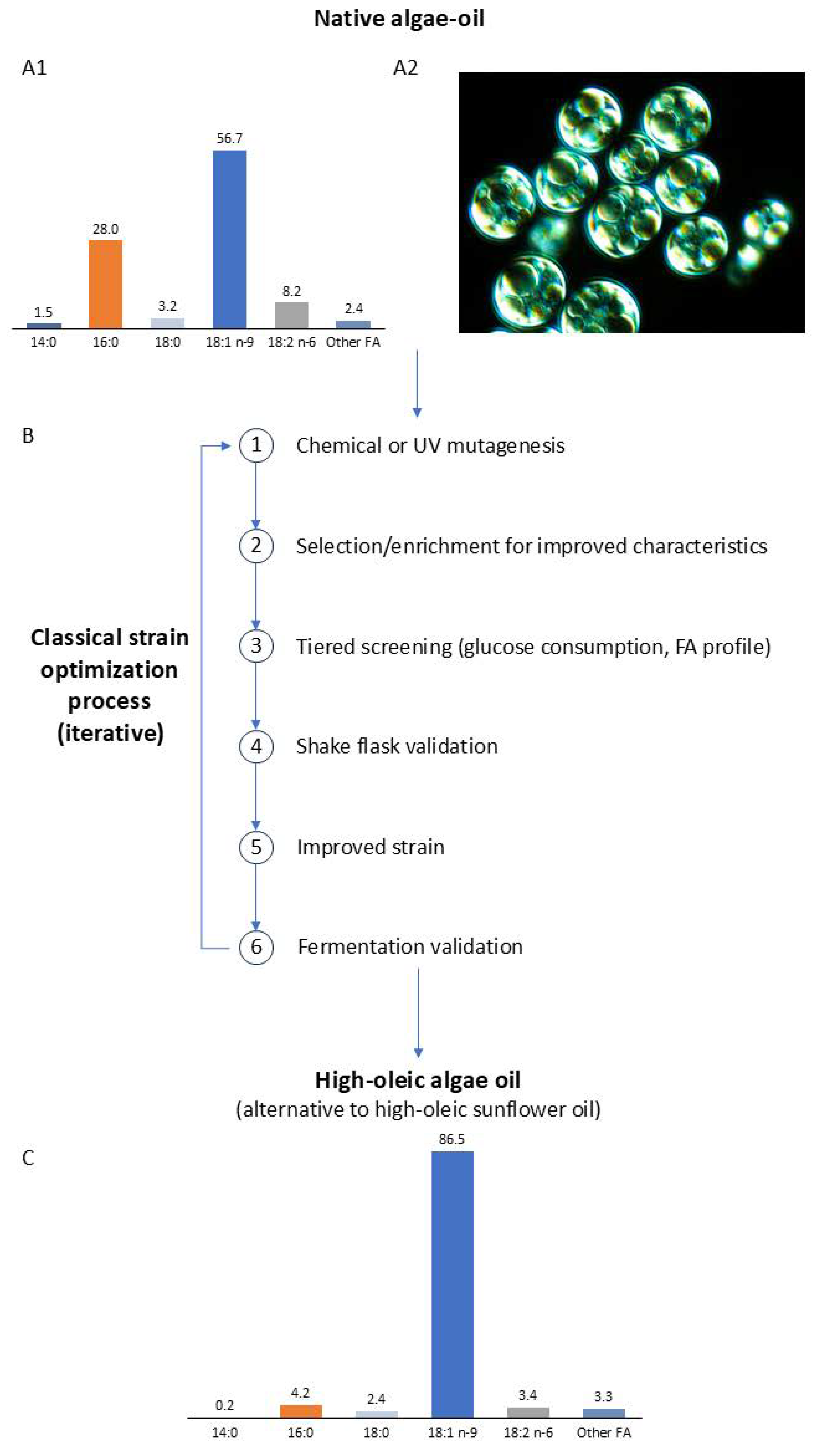 Fermentation 10 00566 g003