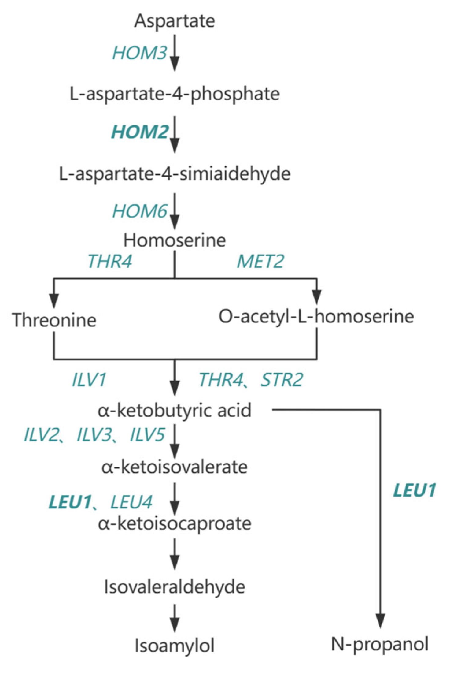 Fermentation 10 00589 g011