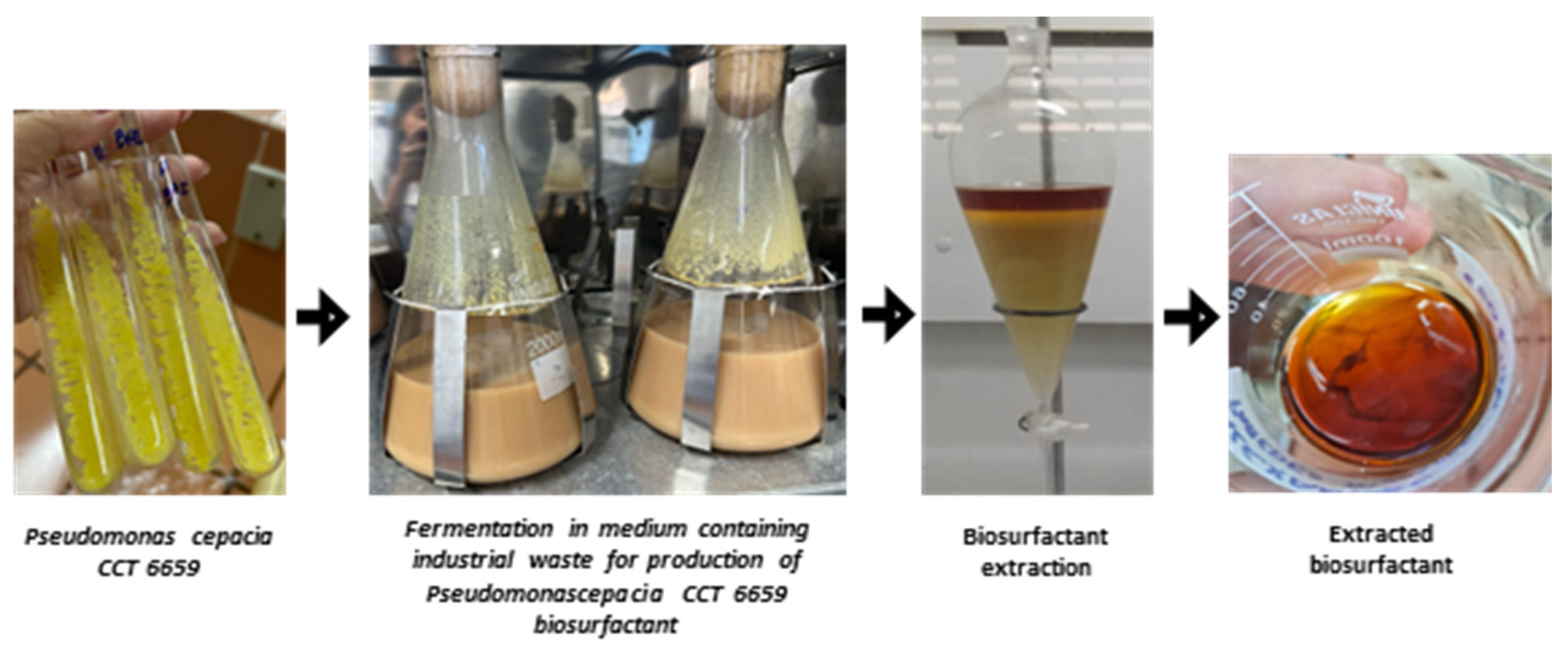 Fermentation 10 00602 g001