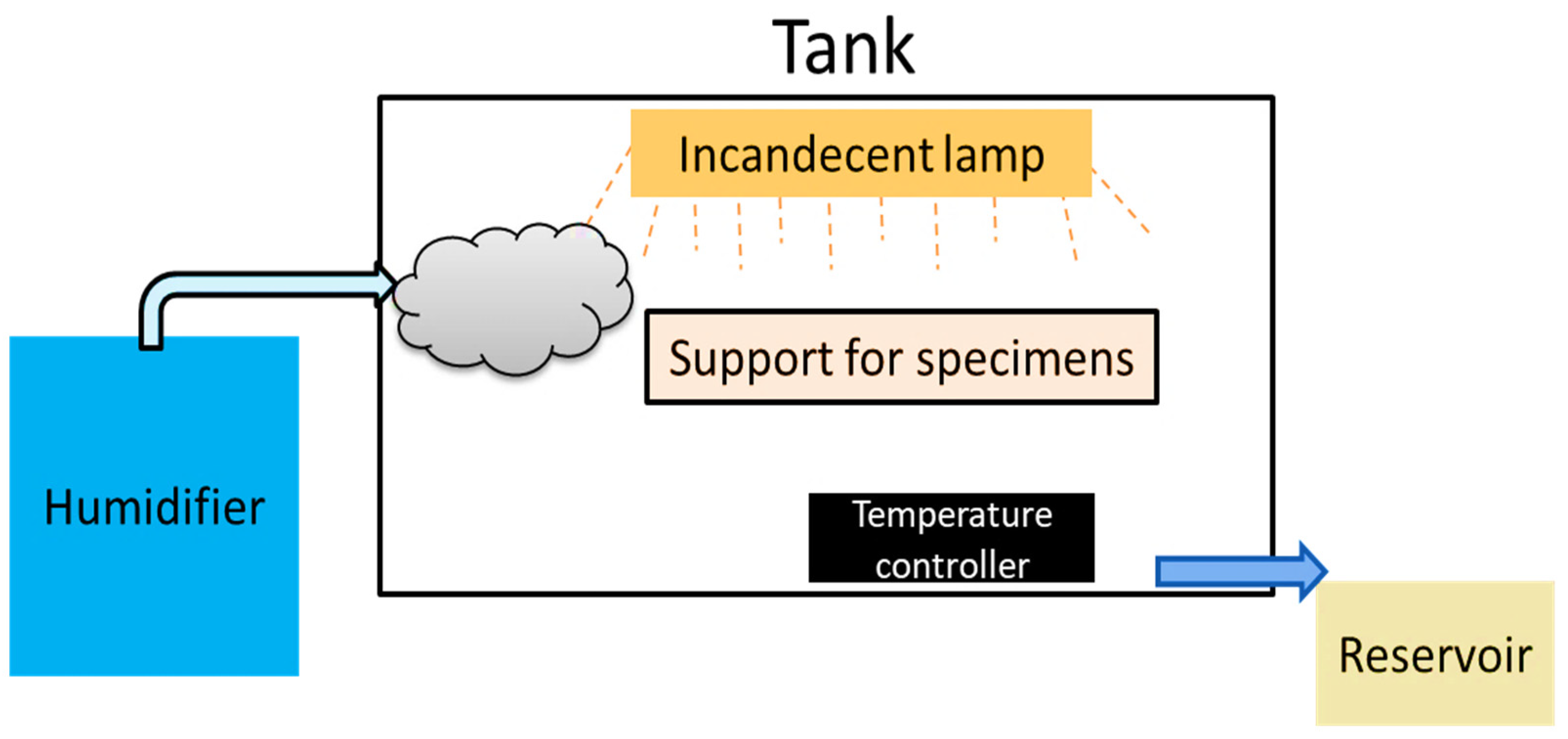 Fermentation 10 00602 g002