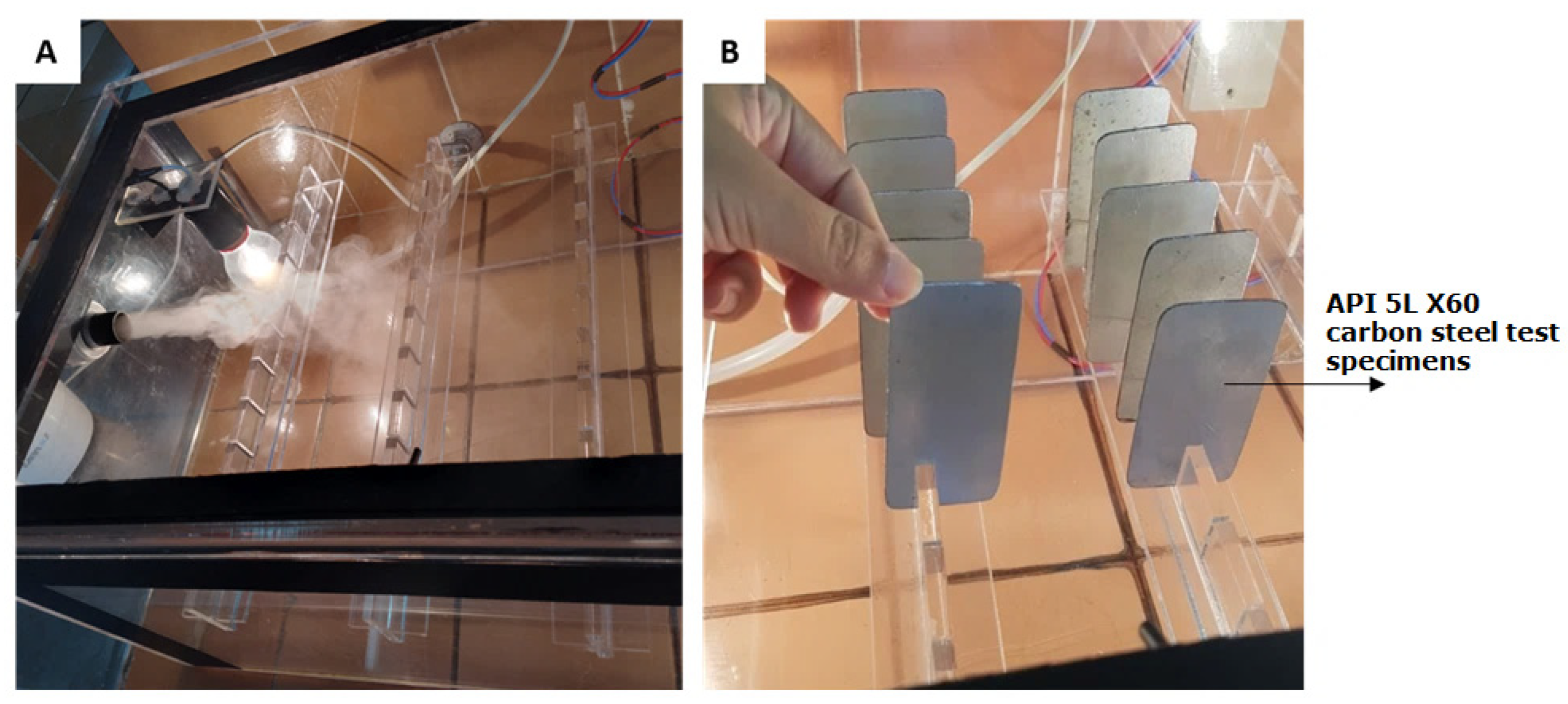 Fermentation 10 00602 g003