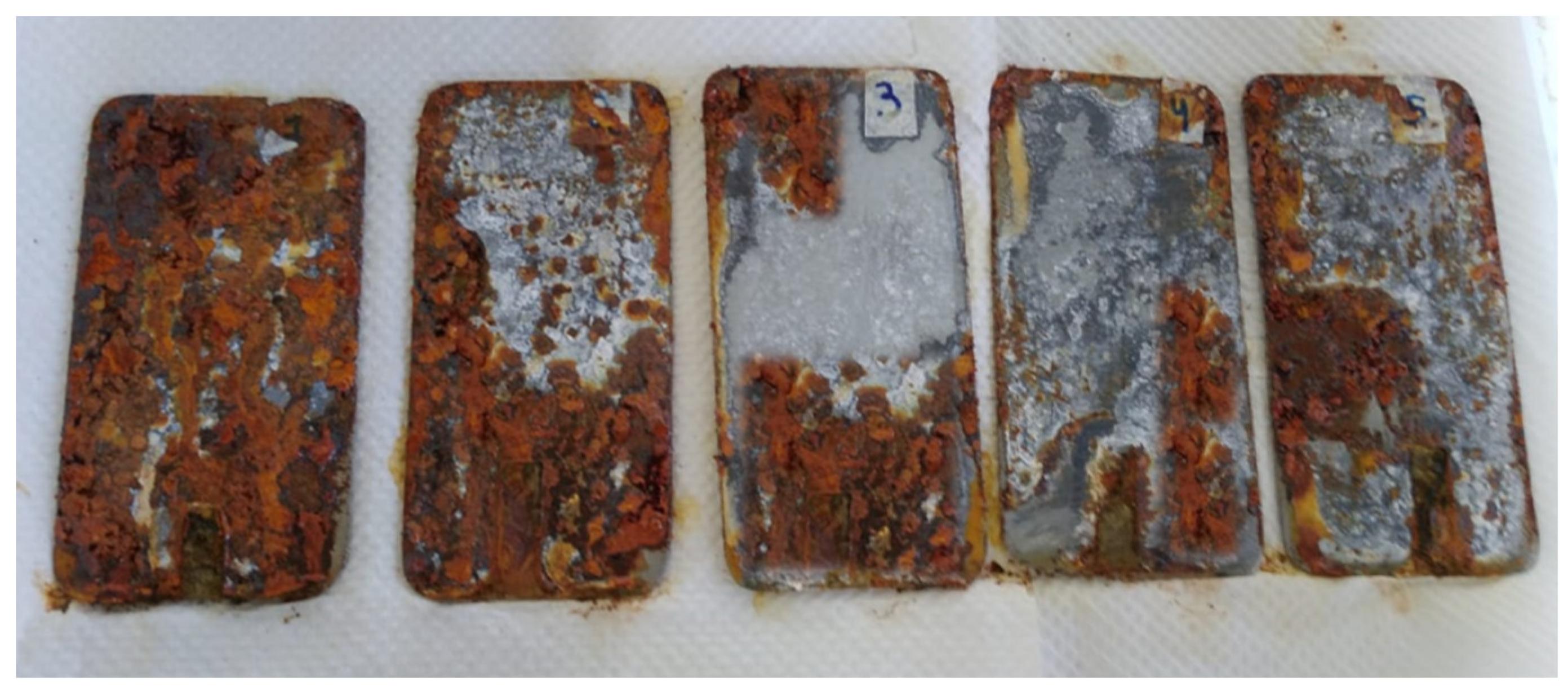 Fermentation 10 00602 g007